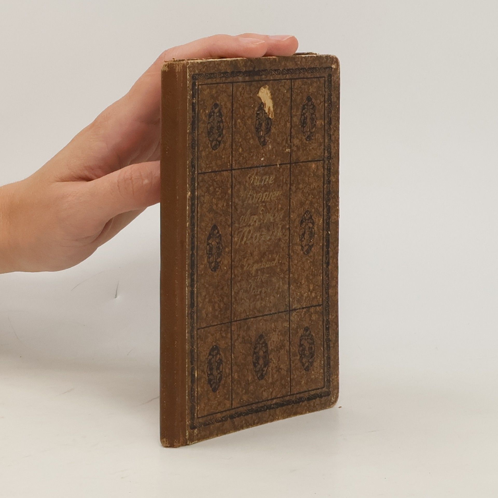 Jane Pannier Andree Mazelle. Tagebuch einer Pariser Studentin