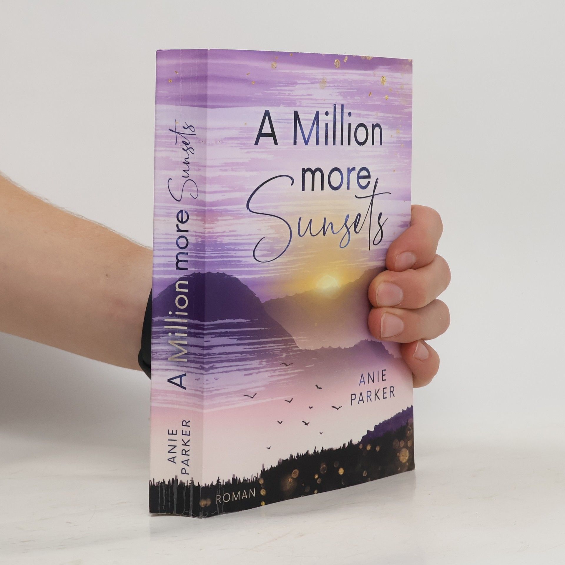 Anie Parker A Million More Sunsets