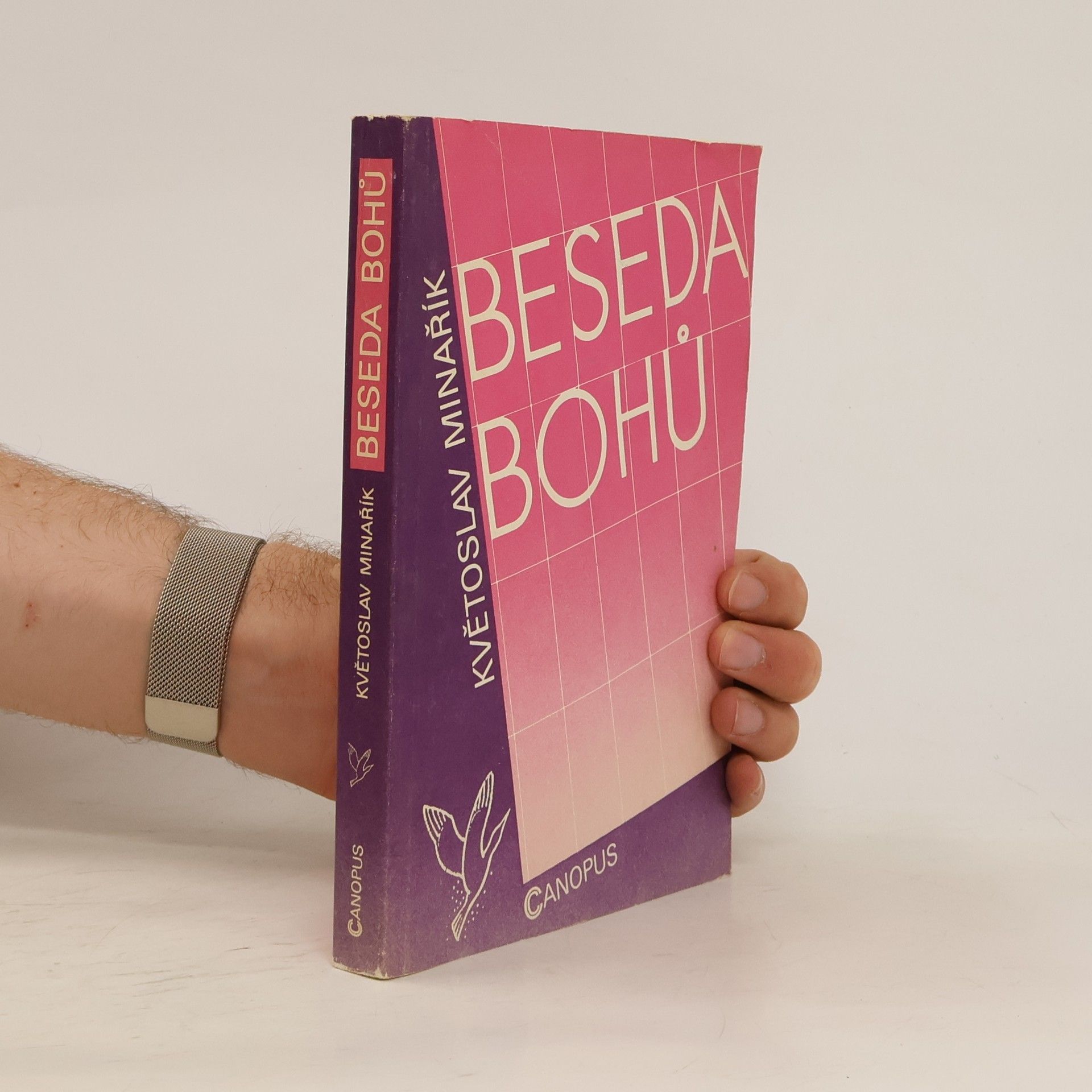 Květoslav Minařík Beseda bohů