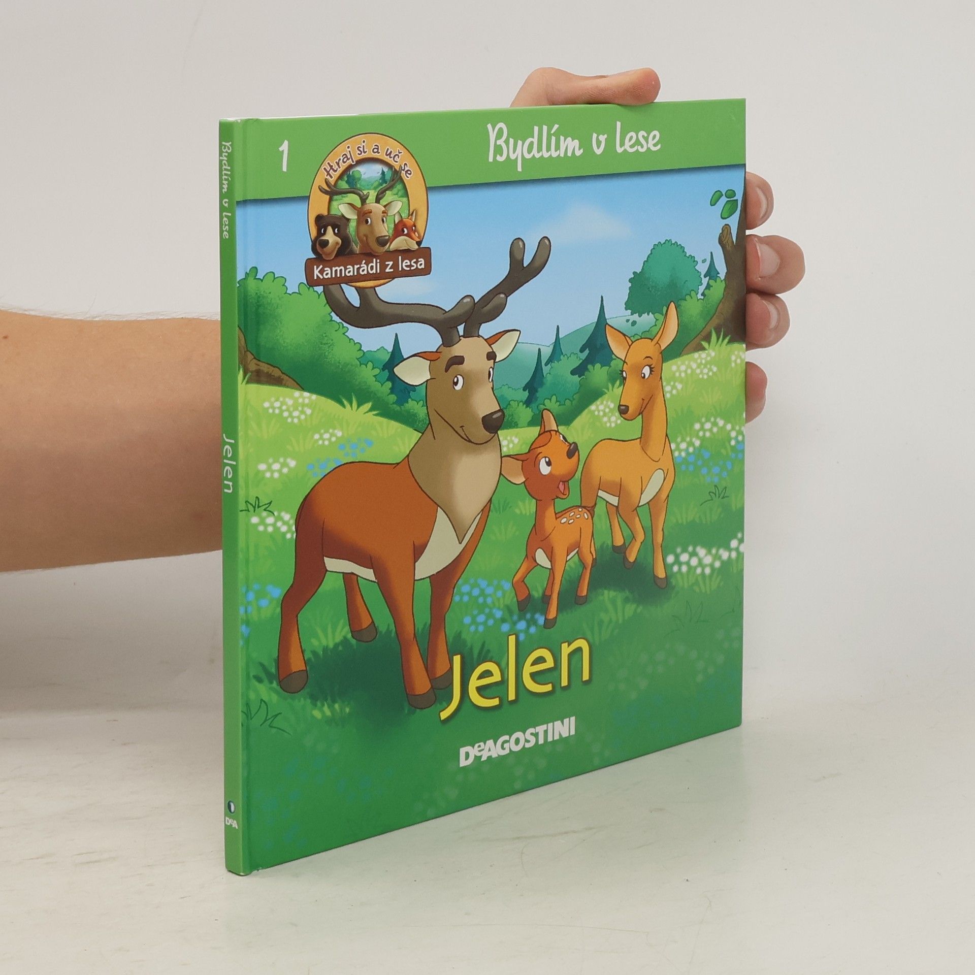 Collective Bydlím v lese - jelen