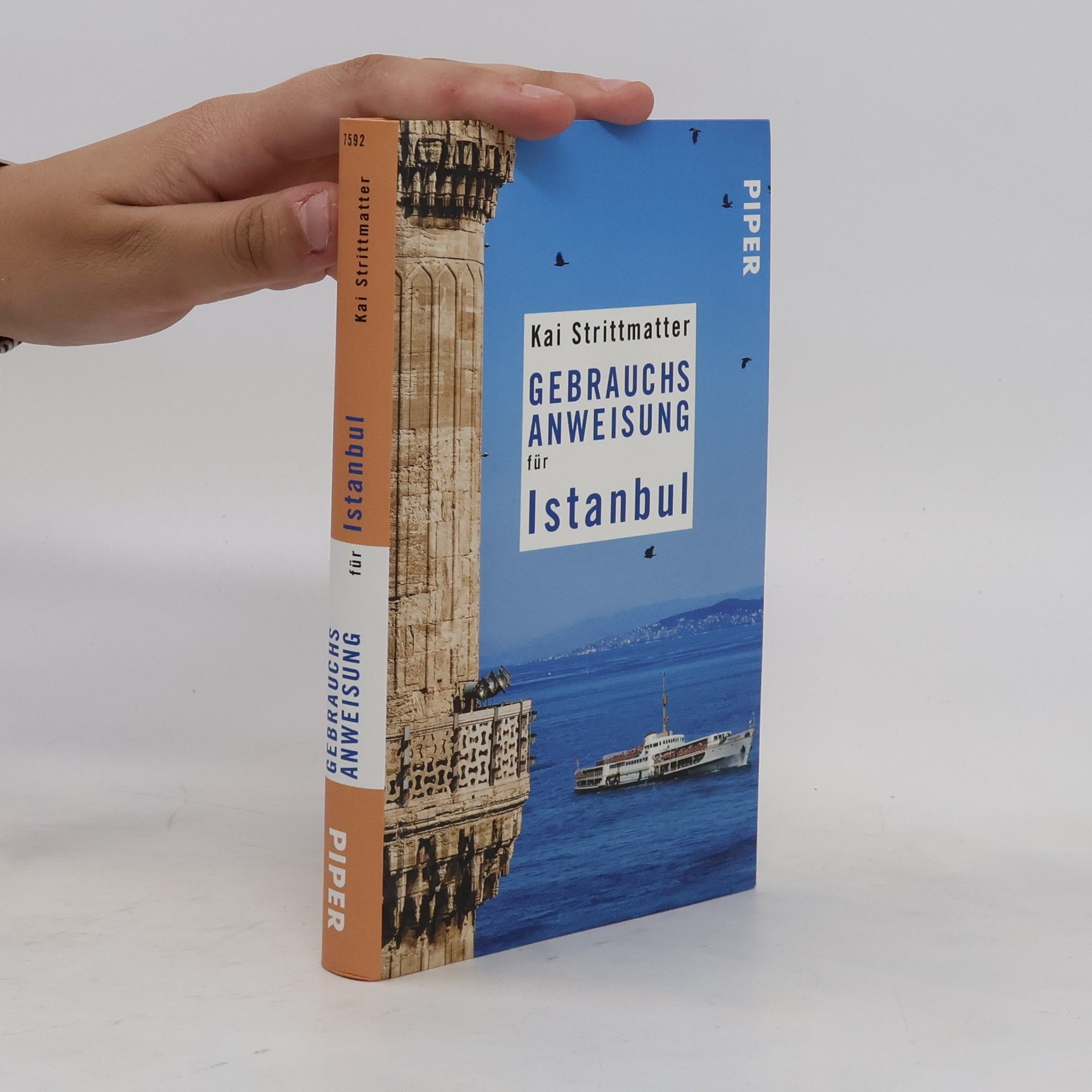 Kai Strittmatter Gebrauchs anweisung für Istanbul
