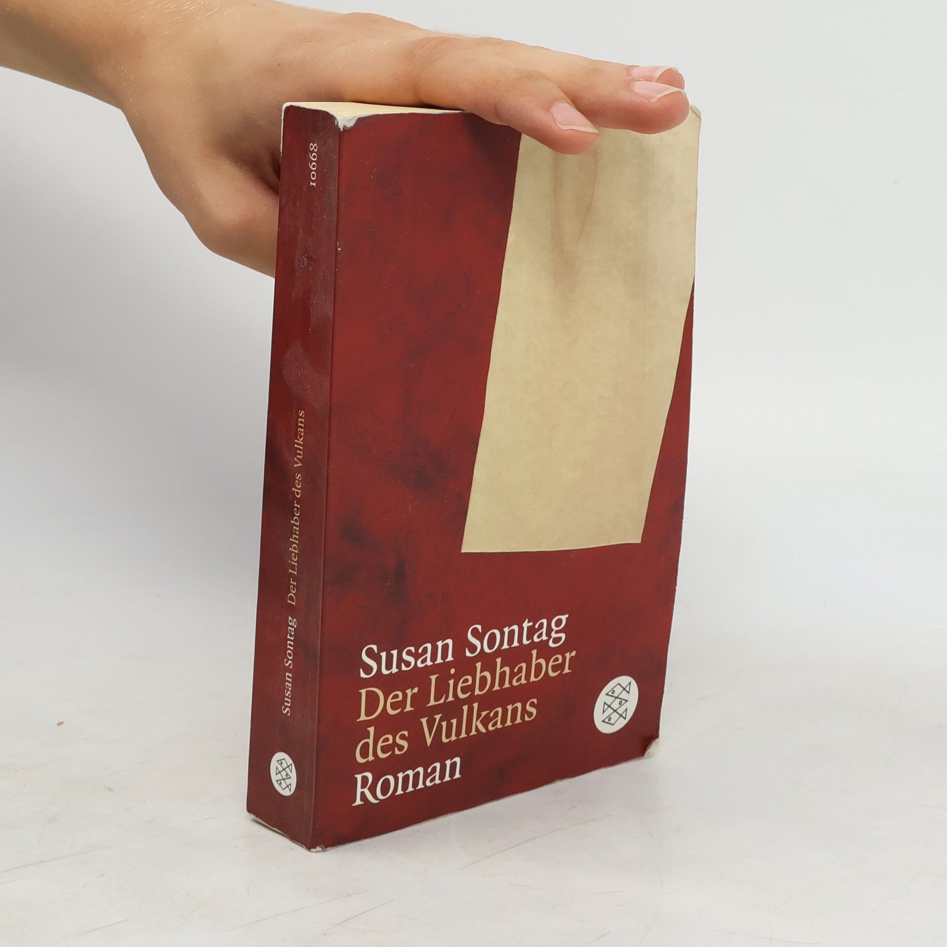 Susan Sontag Der Liebhaber des Vulkans