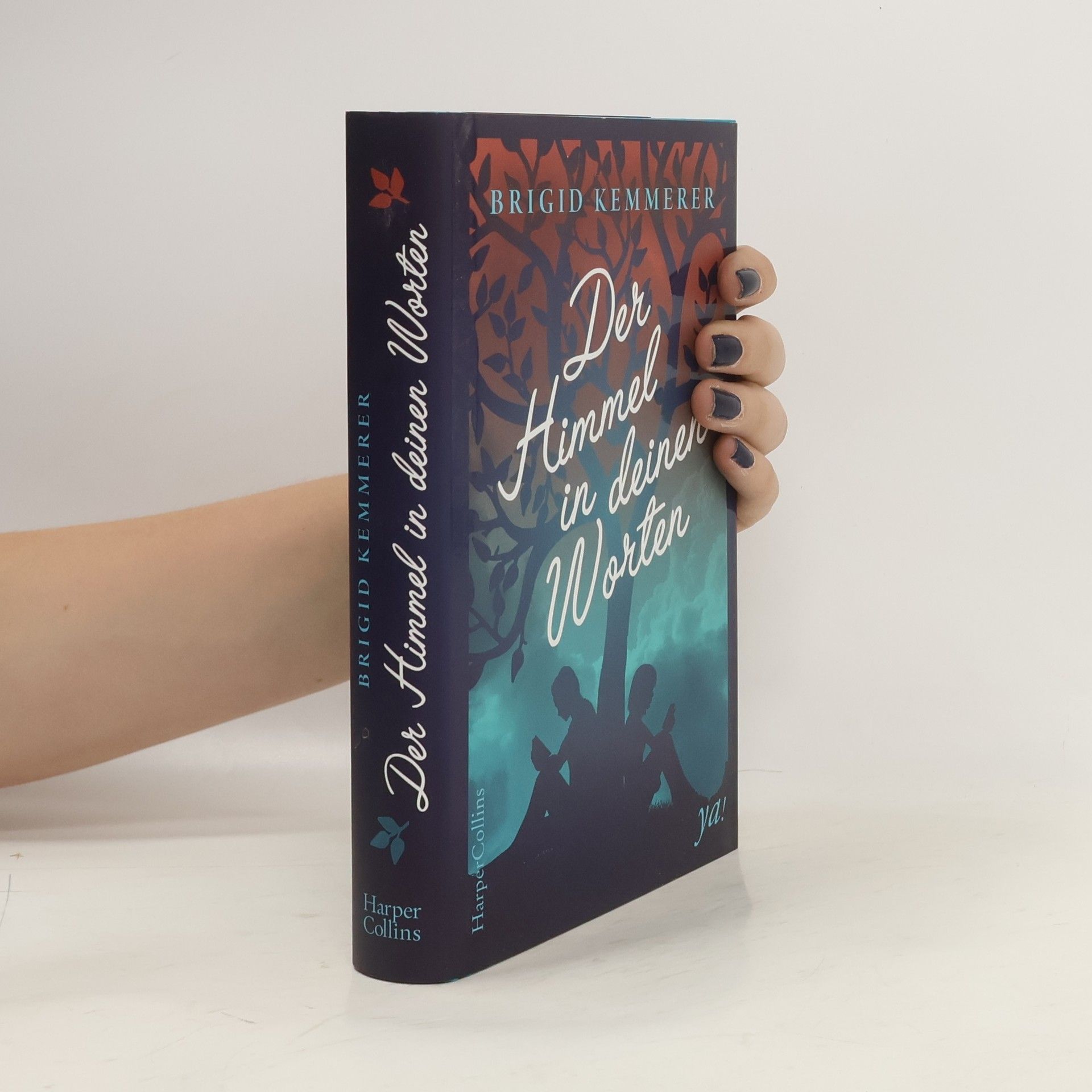 Brigid Kemmerer Der Himmel in deinen Worten
