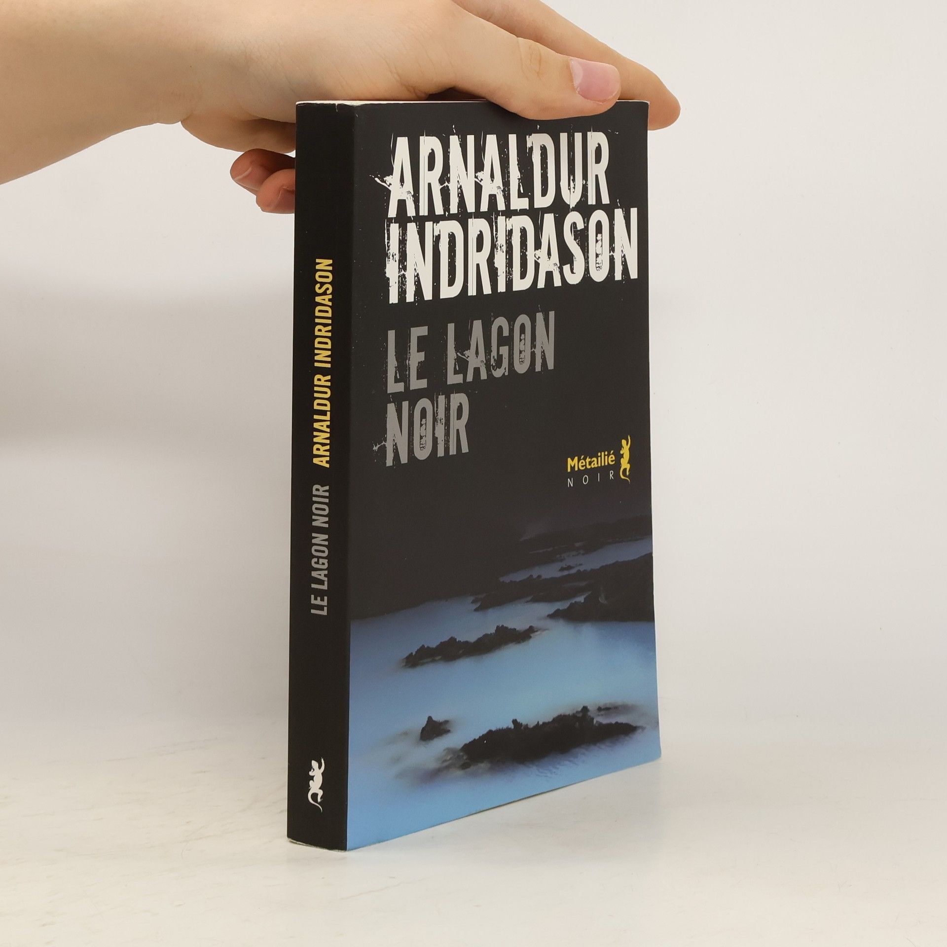 Arnaldur Indriðason Le Lagon noir
