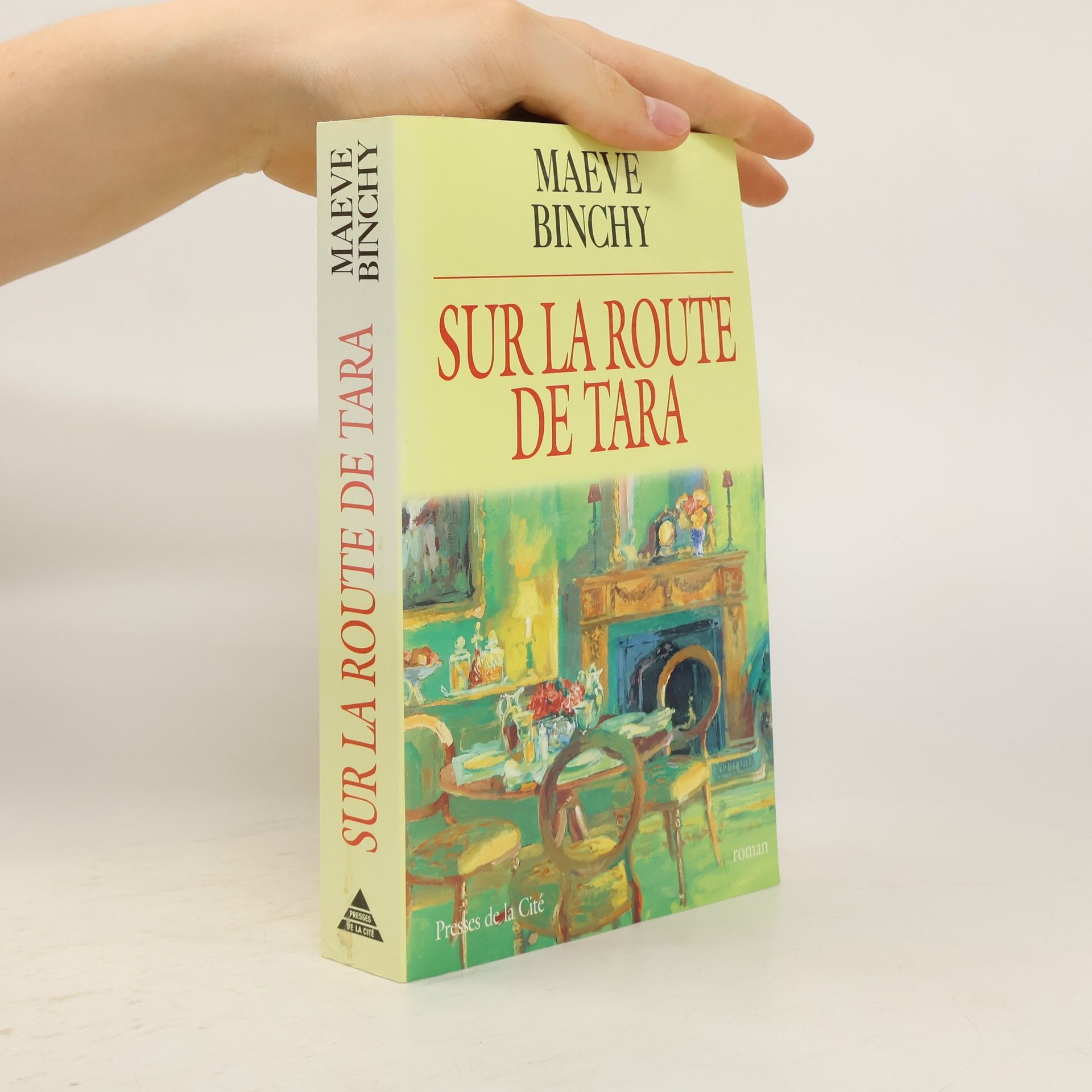 Maeve Binchy Sur la route de Tara