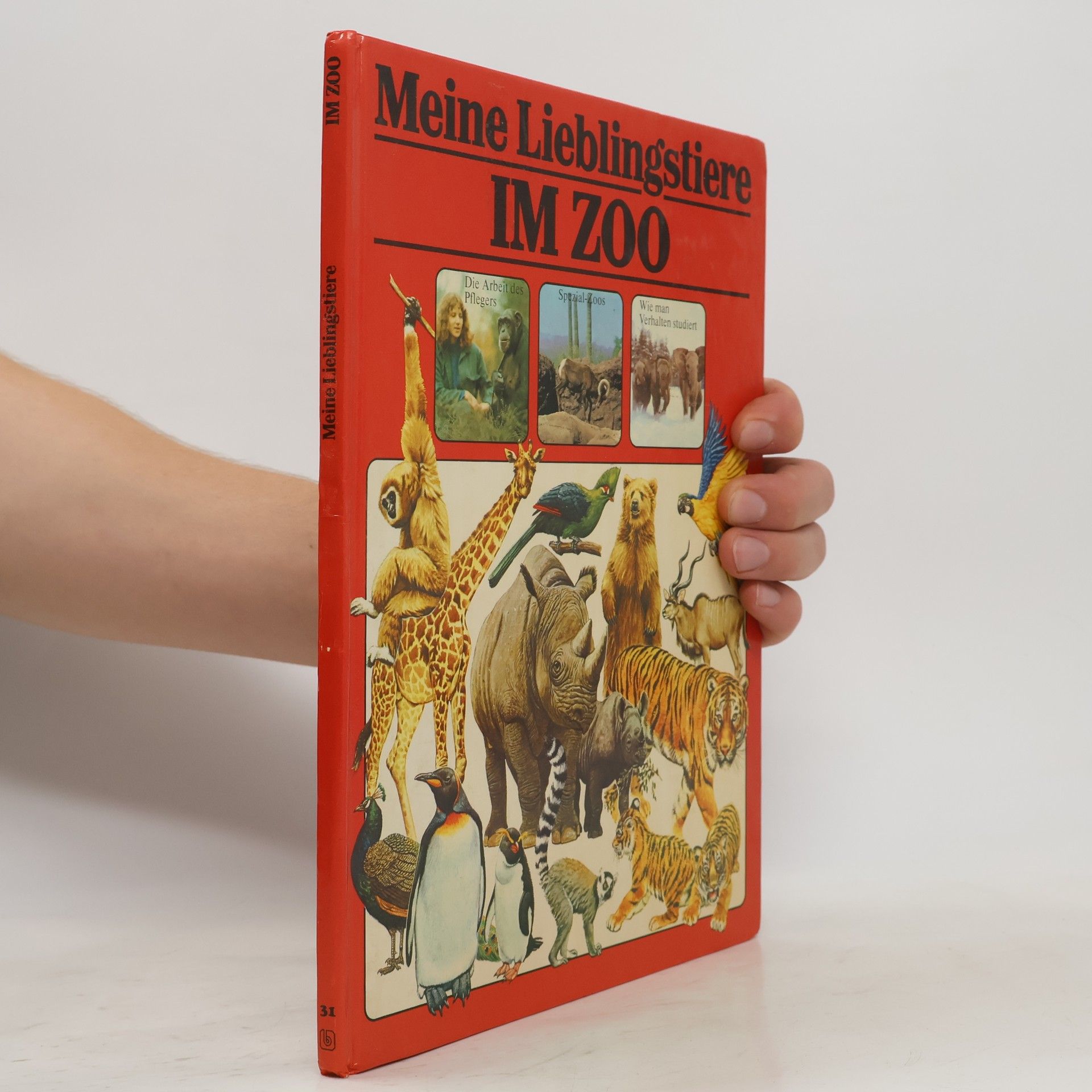 Rosamund Kidman Cox Meine Lieblingstiere: Im Zoo.