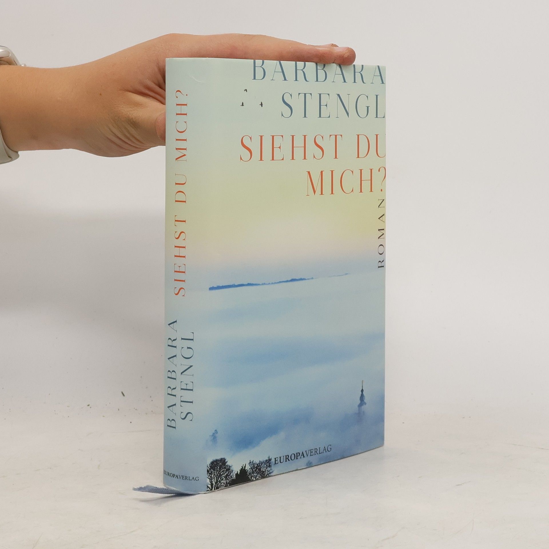 Barbara Stengl Siehst du mich?