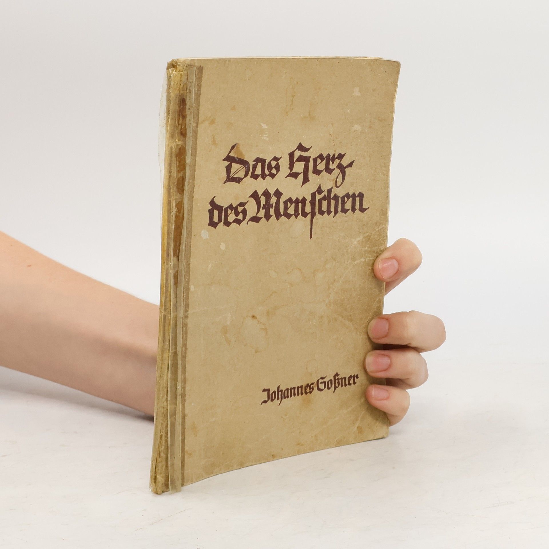 Collectif d'auteurs Das Herz des Menschen