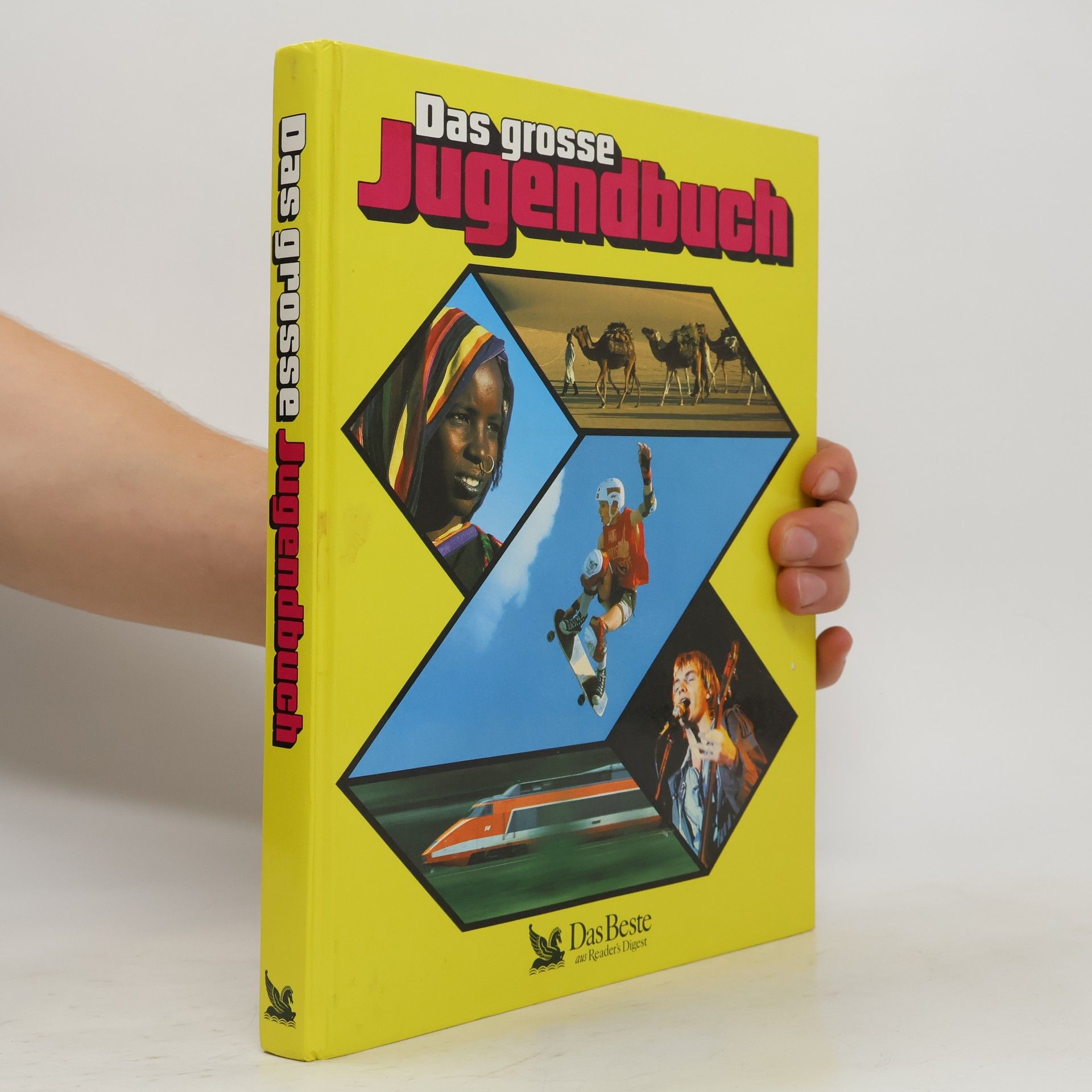 Autores varios Das grosse Jugendbuch, 29.folge