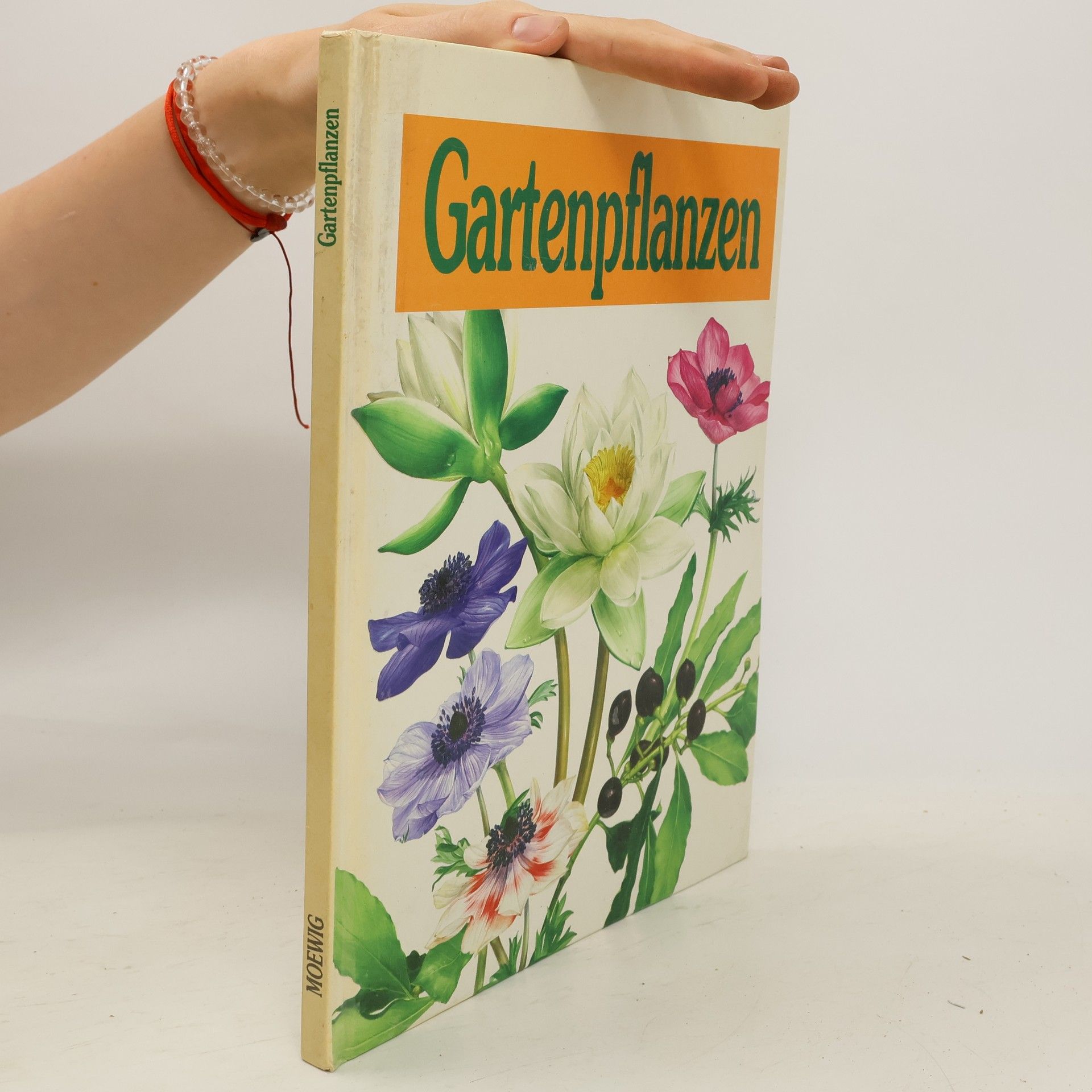Doris Gottwald Gartenpflanzen