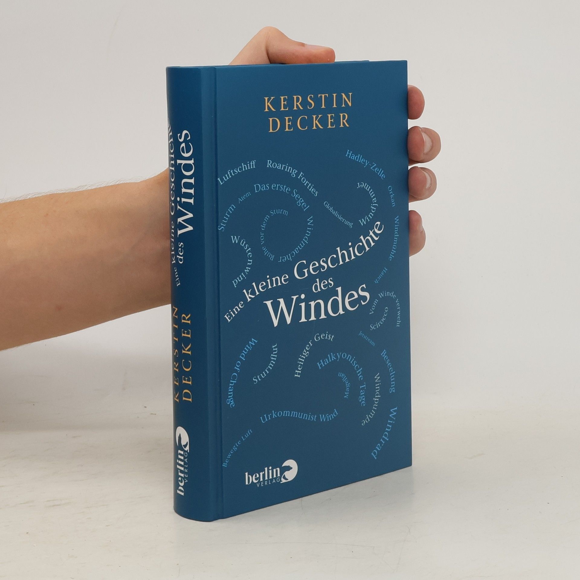 Kerstin Decker Eine kleine Geschichte des Windes