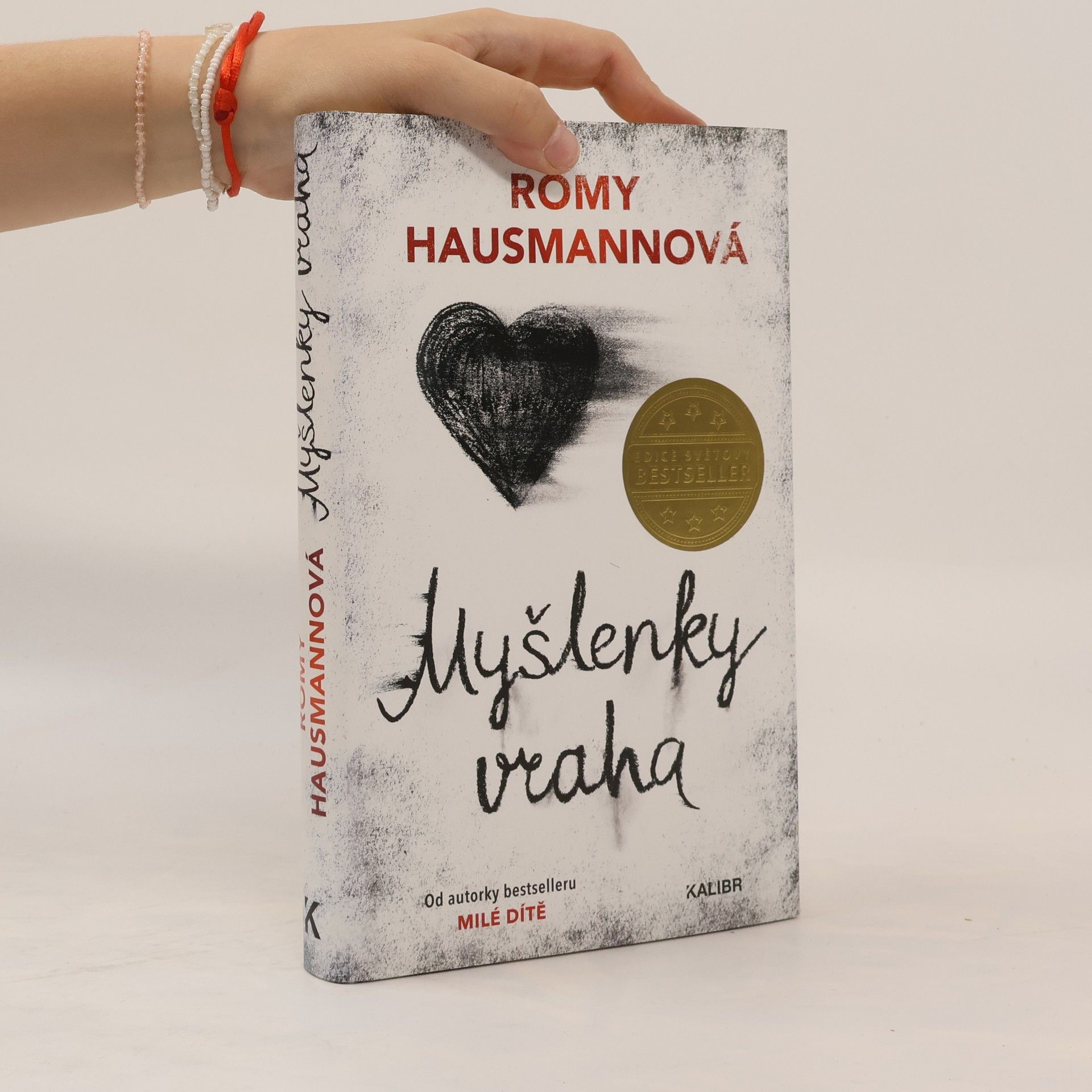 Romy Hausmann Myšlenky vraha