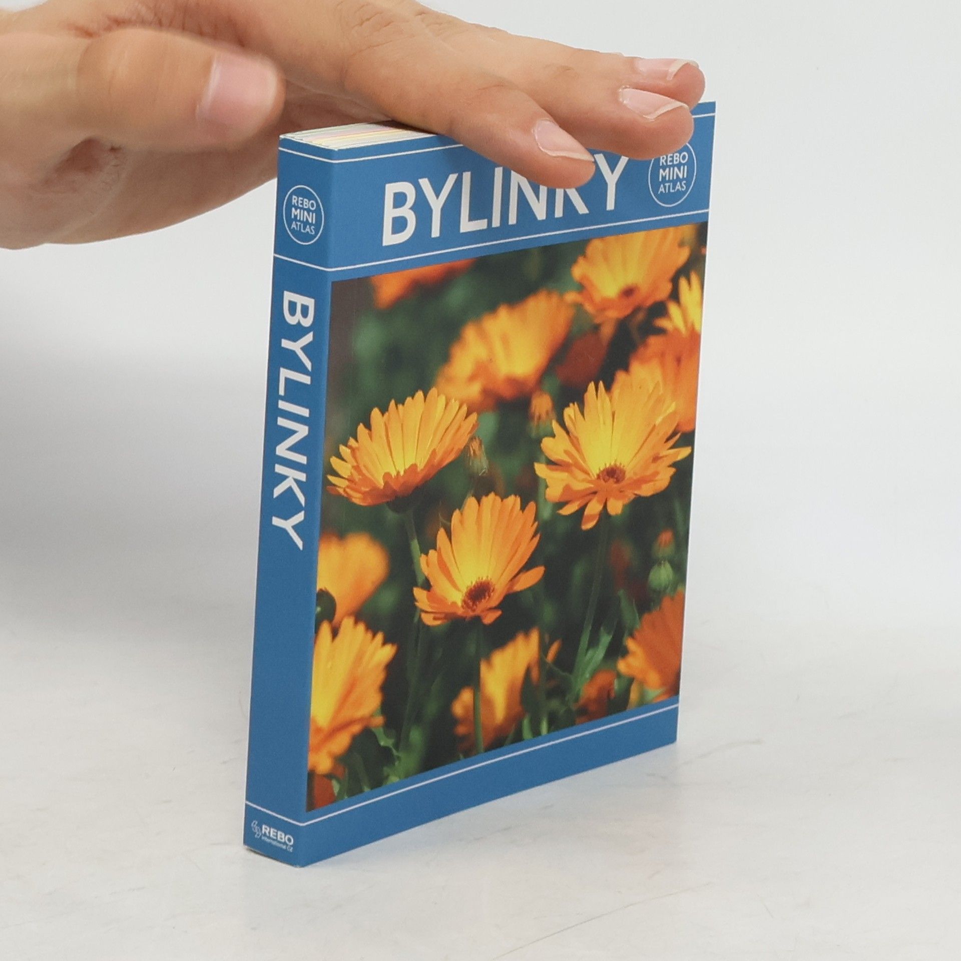 Hanneke van Dijk Bylinky