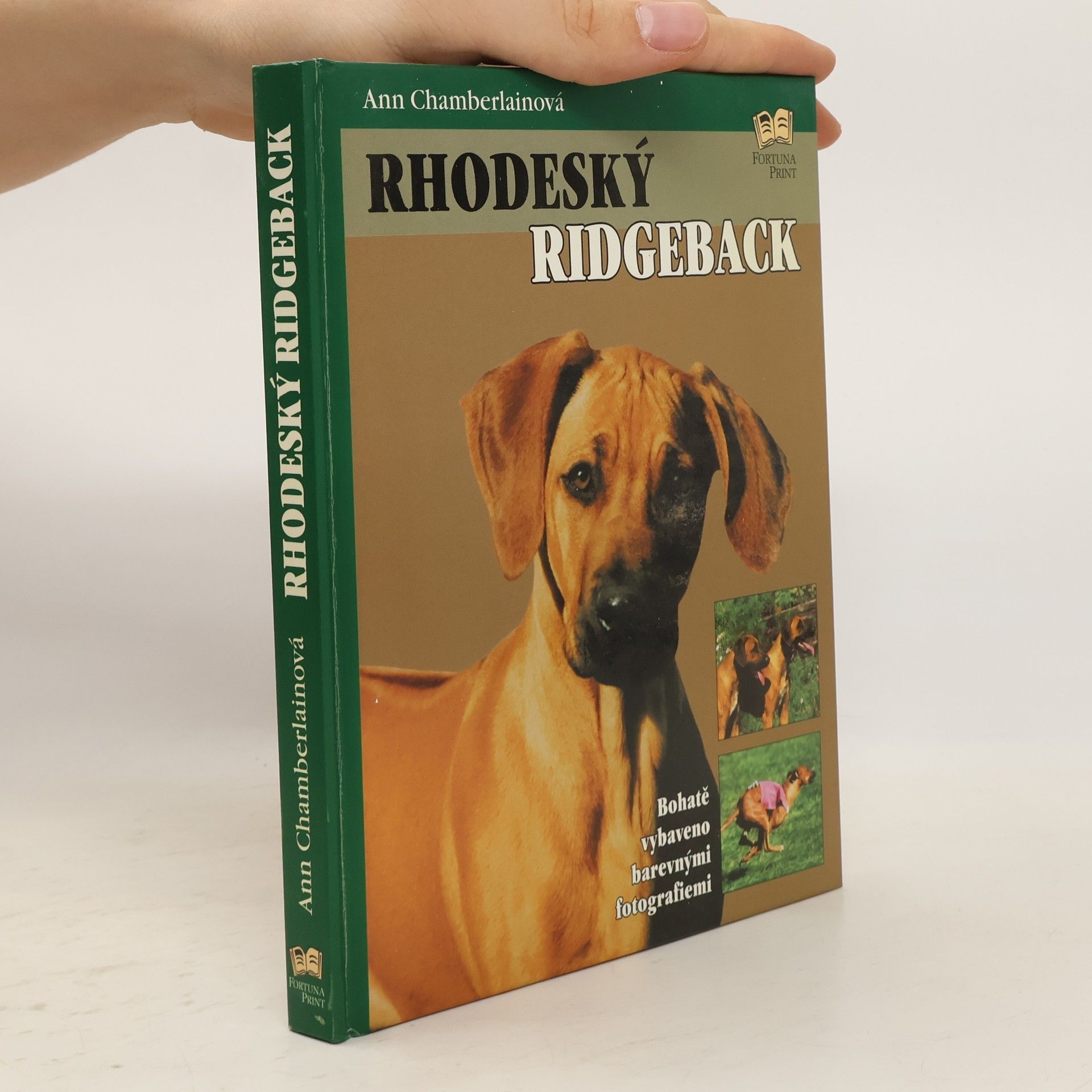 Ann Chamberlain Rhodeský ridgeback