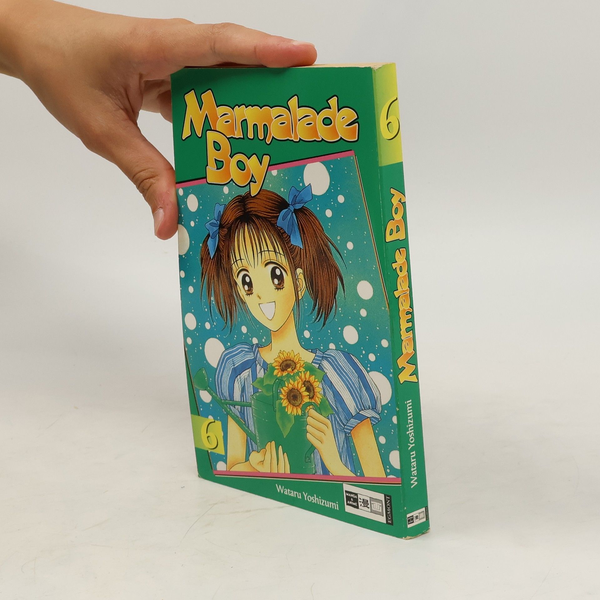 Autorenkollektiv Marmalade Boy 6