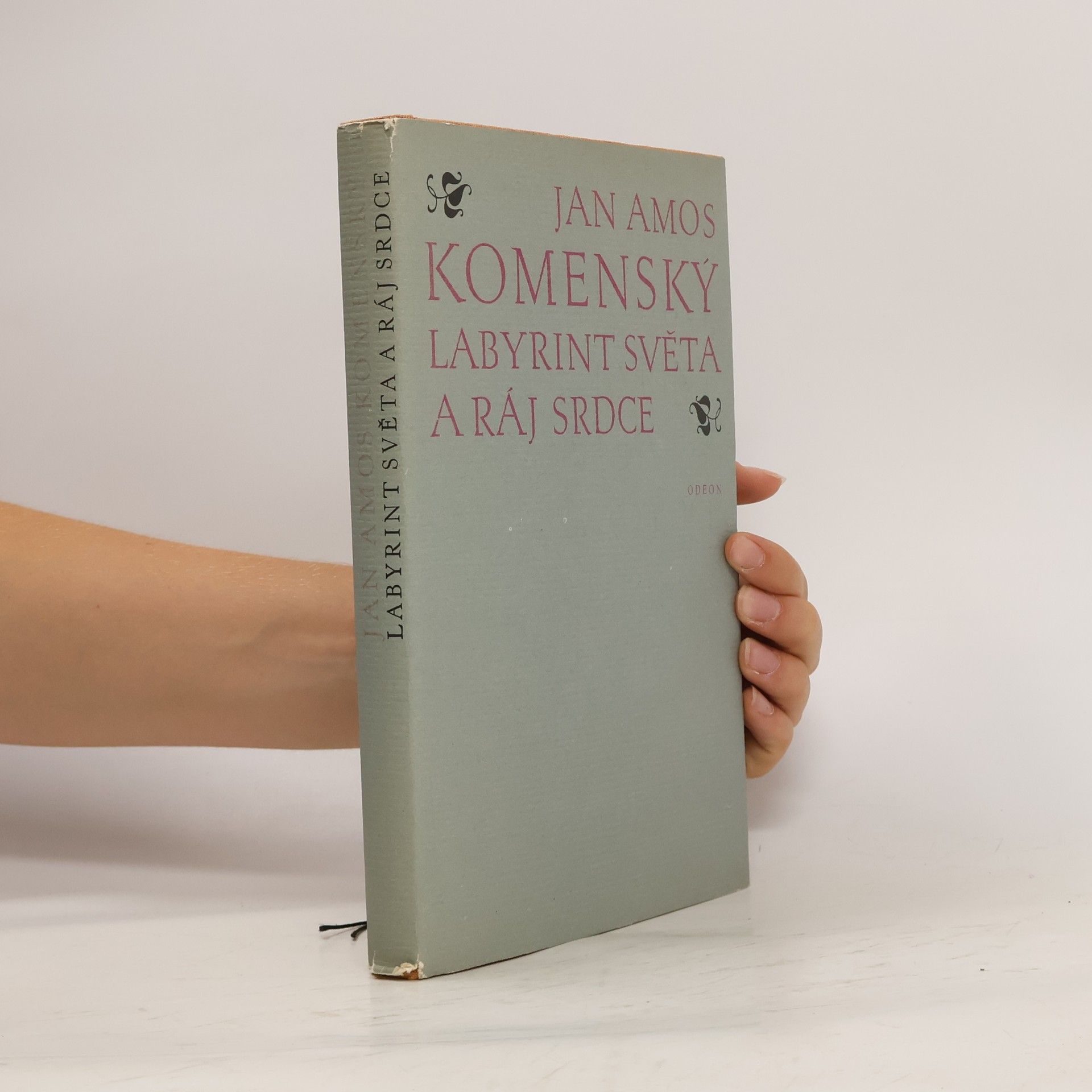 Jan Amos Komenský Labyrint světa a ráj srdce