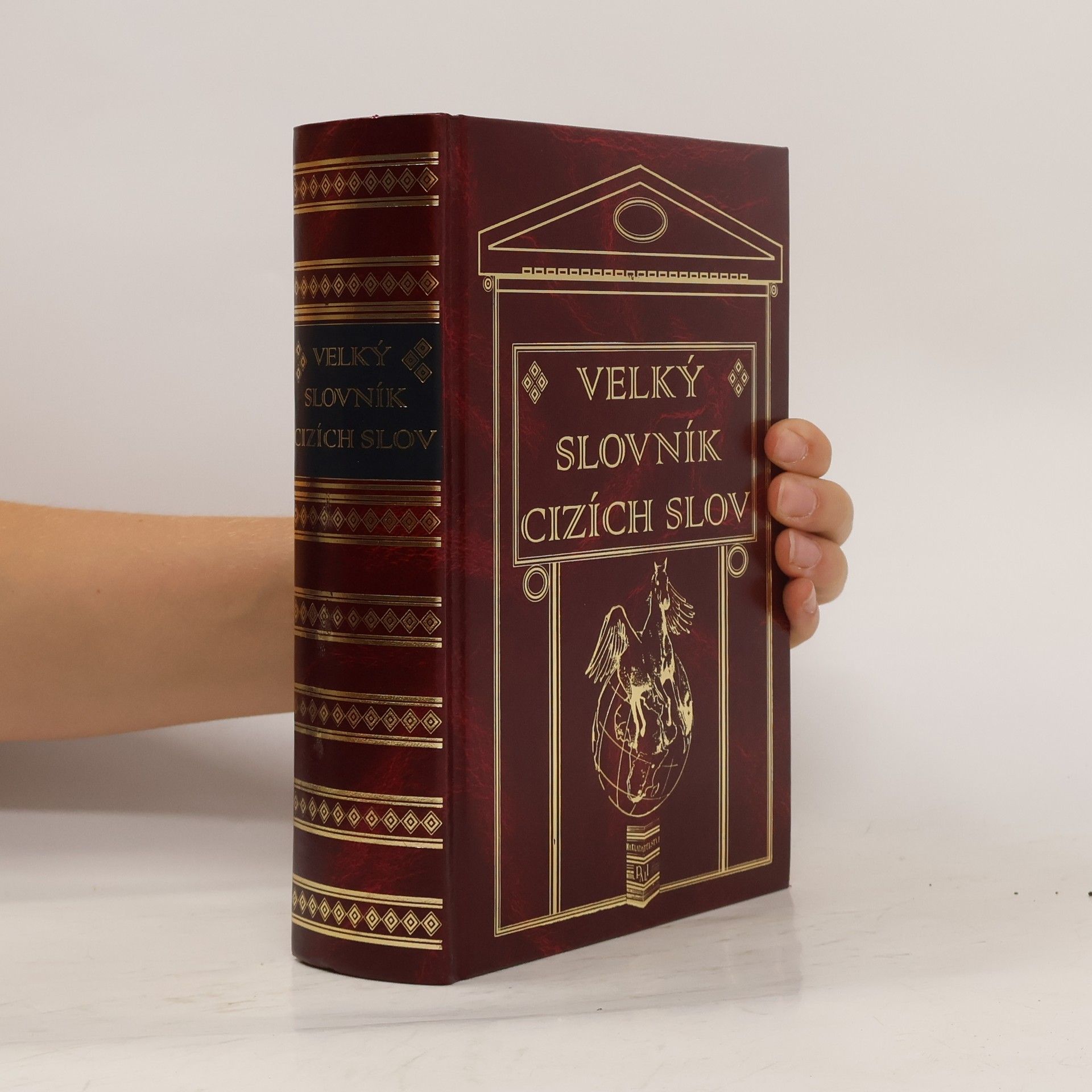 Autorenkollektiv Velký slovník cizích slov