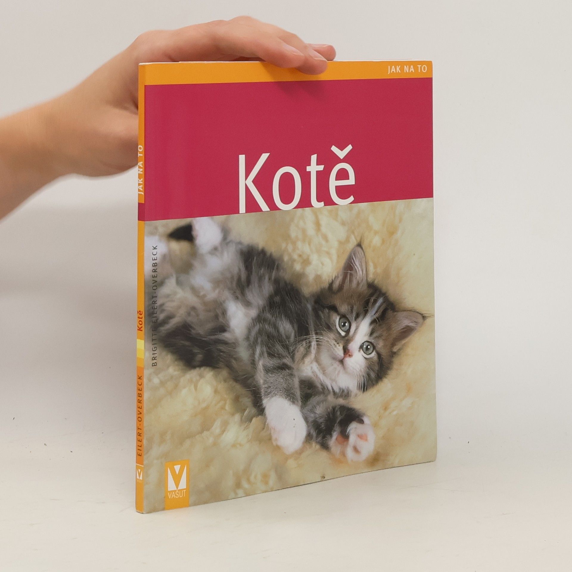 Brigitte EilertOverbeck Kotě