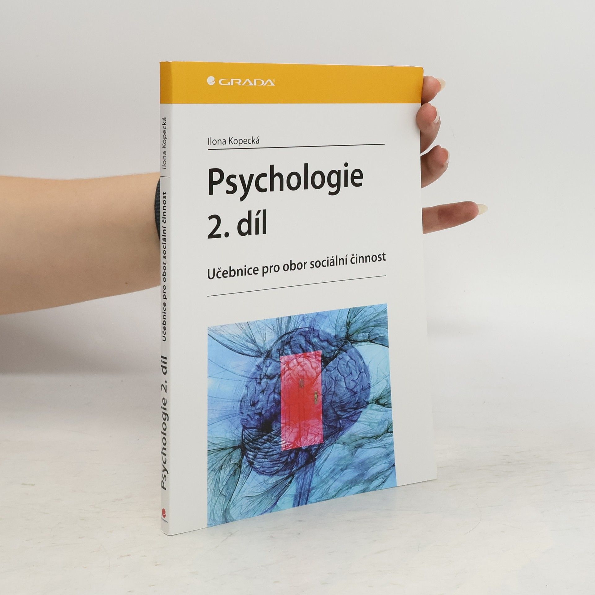 Ilona Kopecká Psychologie : učebnice pro obor sociální činnost. 2. díl