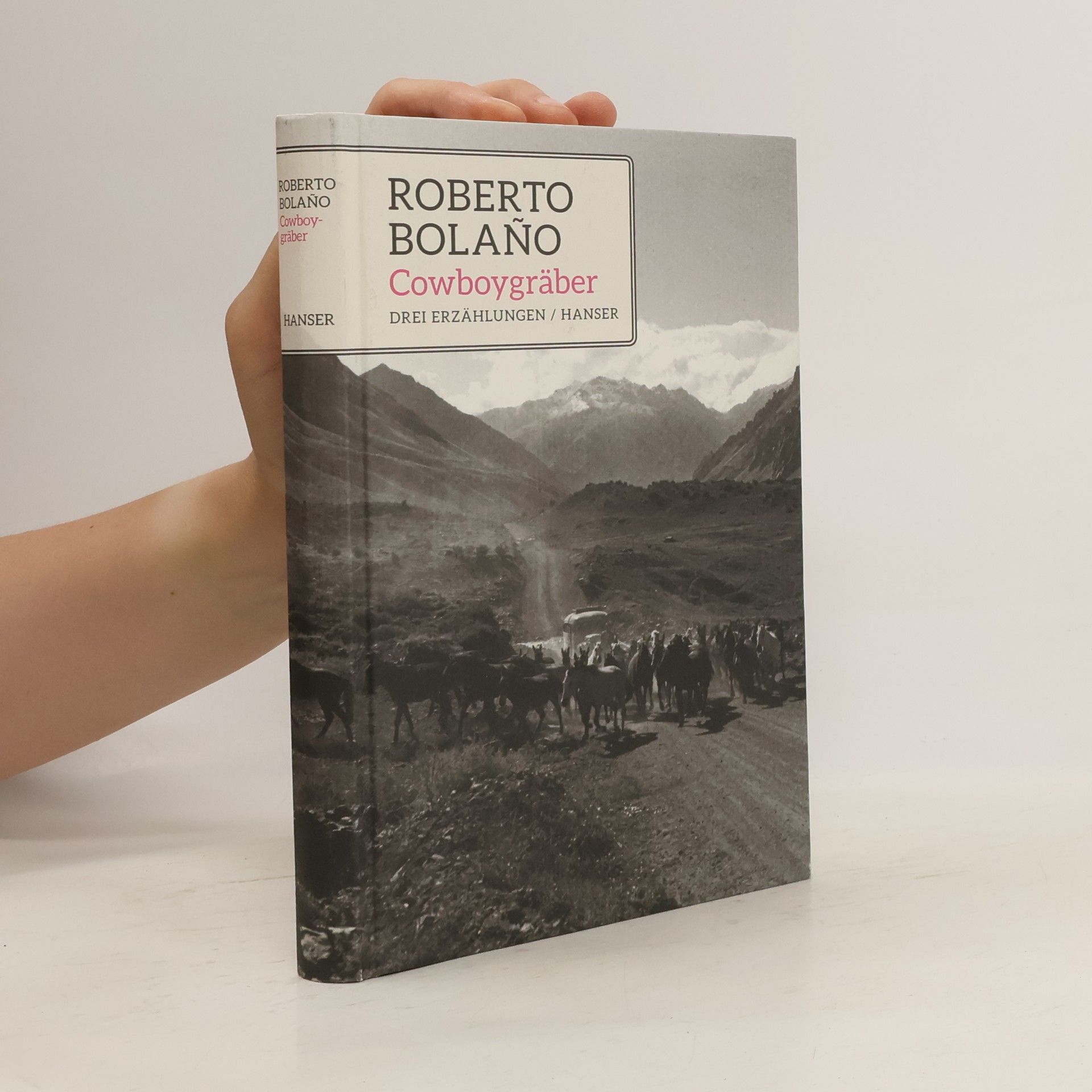 Roberto Bolaño Cowboygräber
