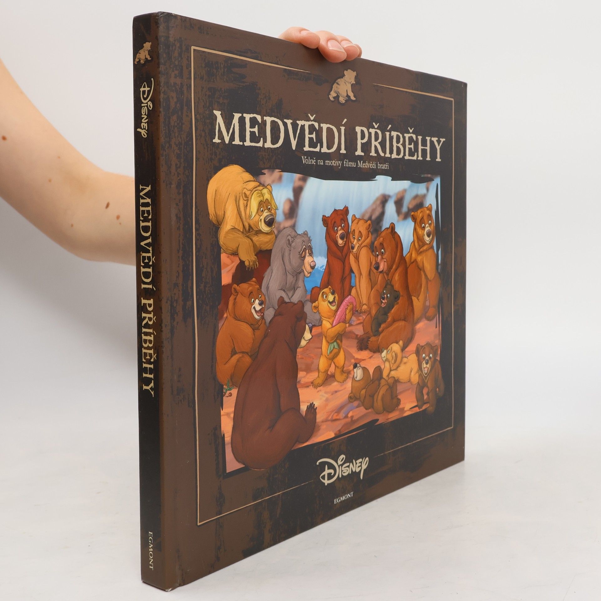 Walt Disney Medvědí příběhy