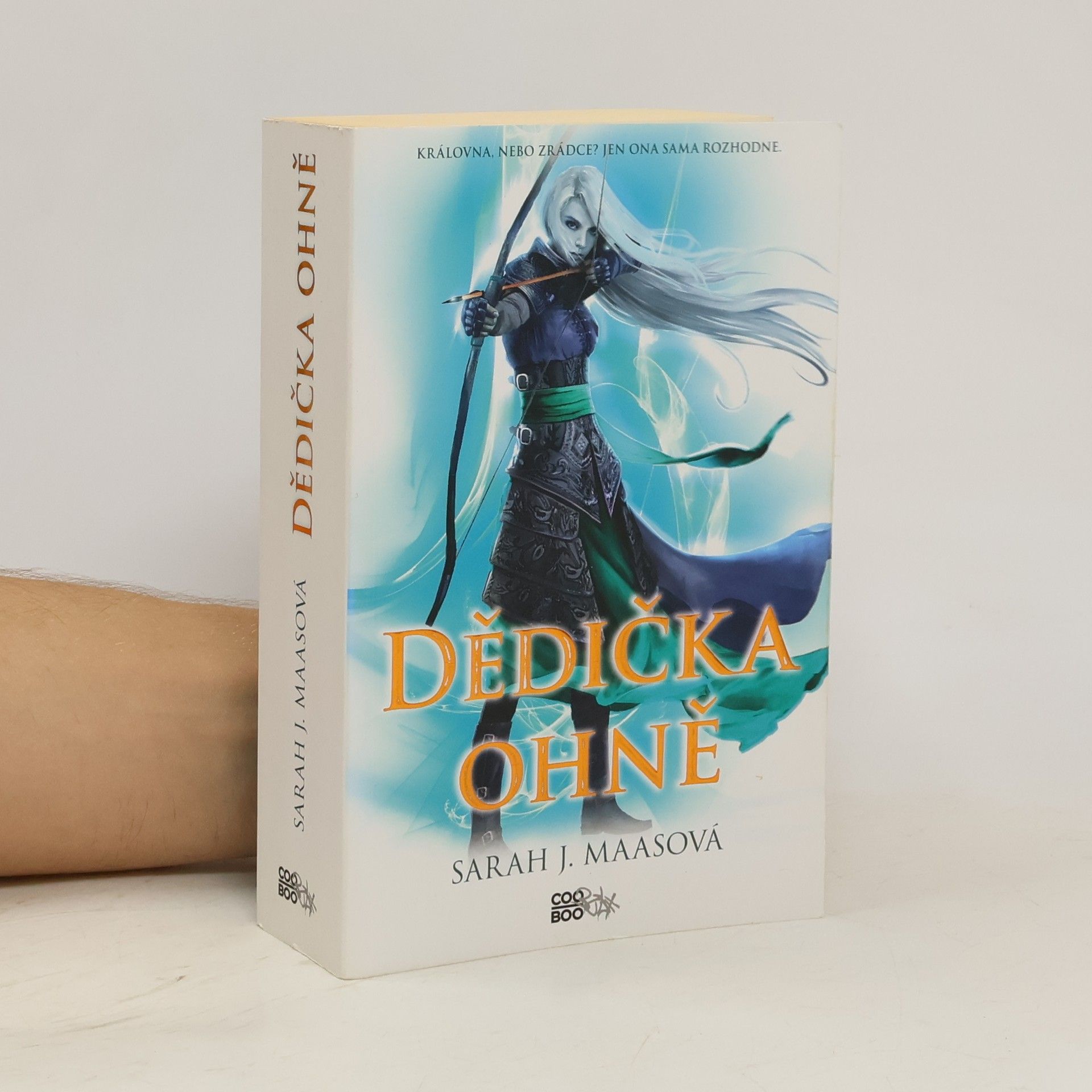 Sarah J. Maas Dědička ohně