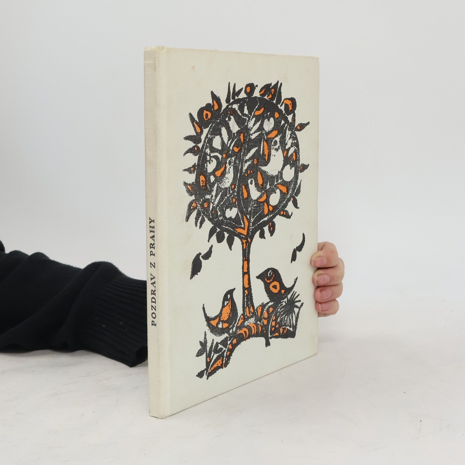 Collectif d'auteurs Pozdrav z Prahy