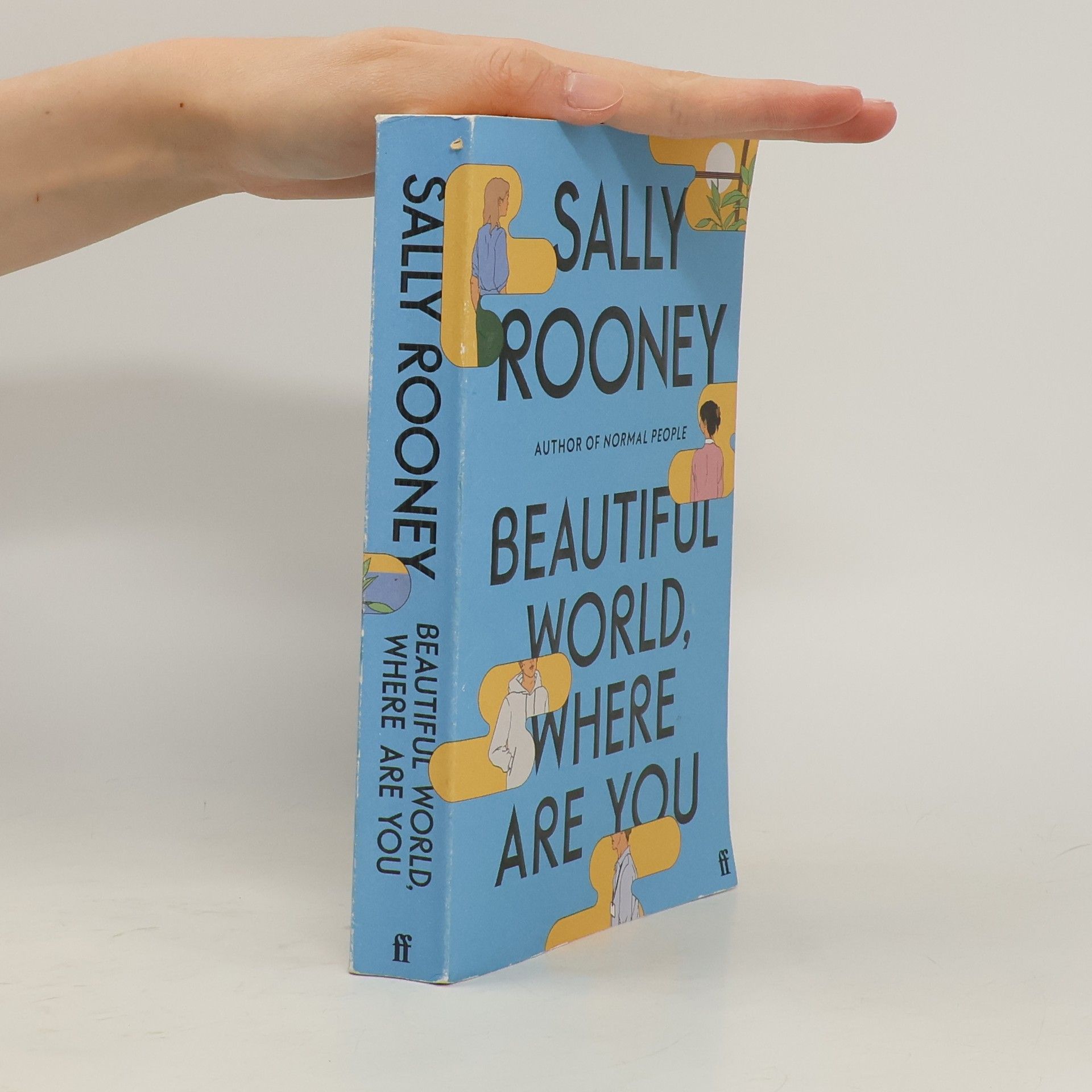 Sally Rooney Beautiful World, Where Are You
