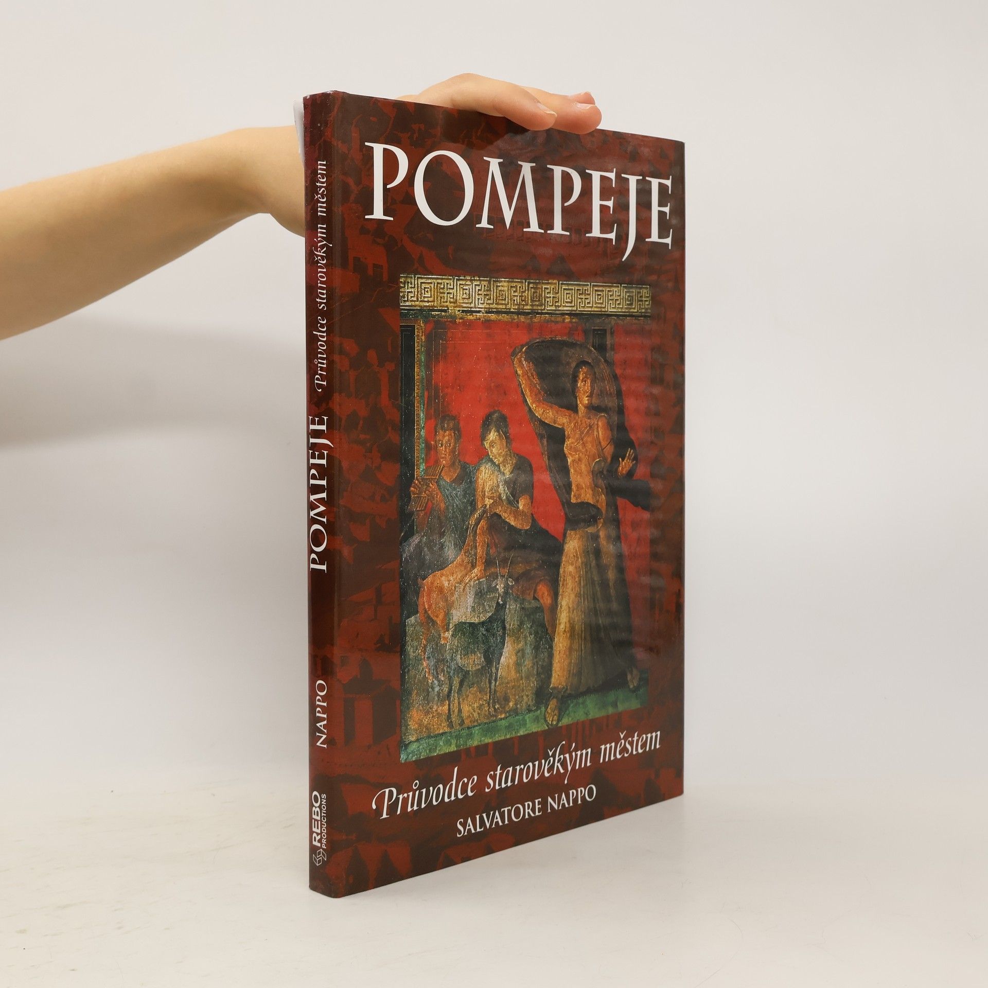 kolektiv Pompeje: Průvodce starověkým městem