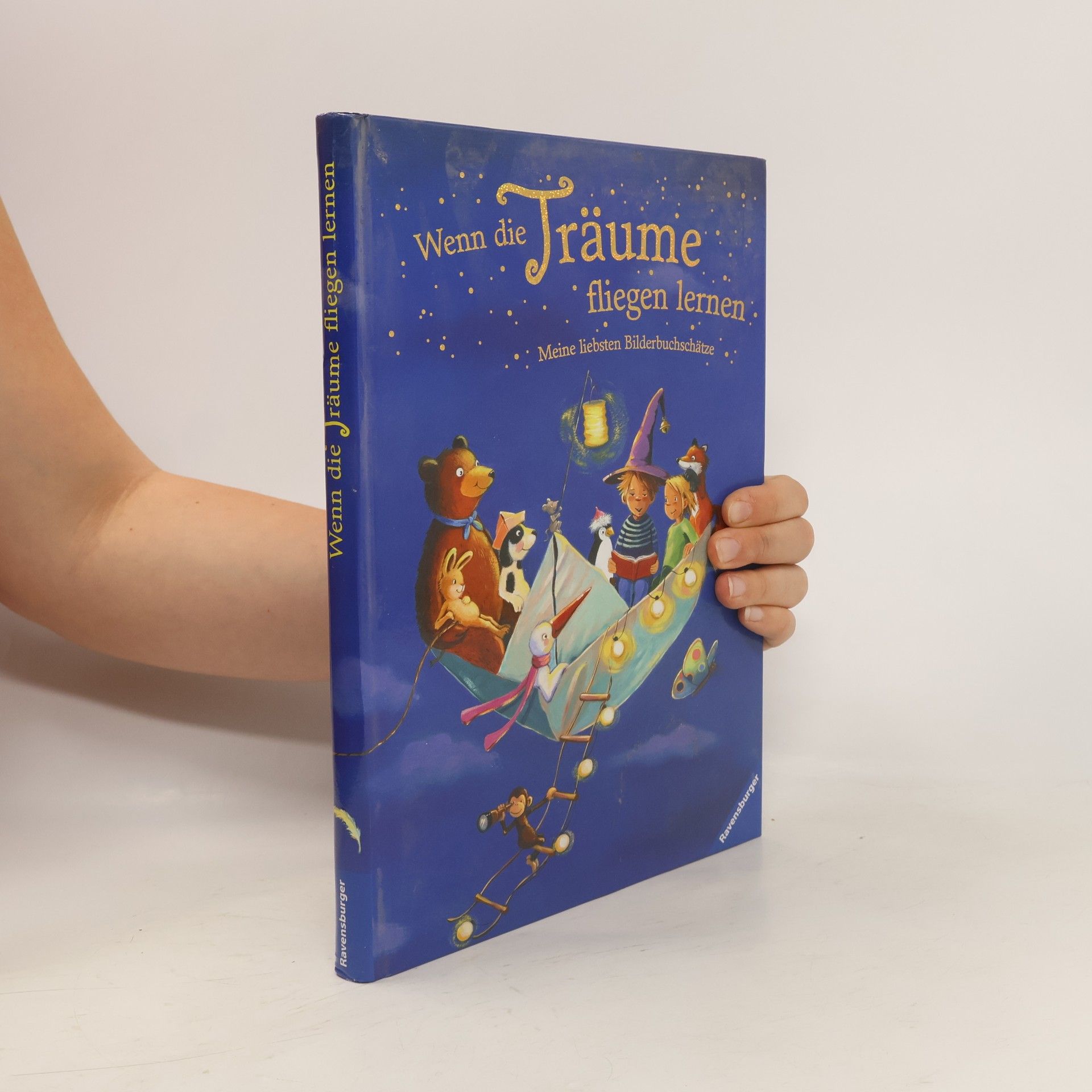 Autorenkollektiv Wenn die Träume fliegen lernen