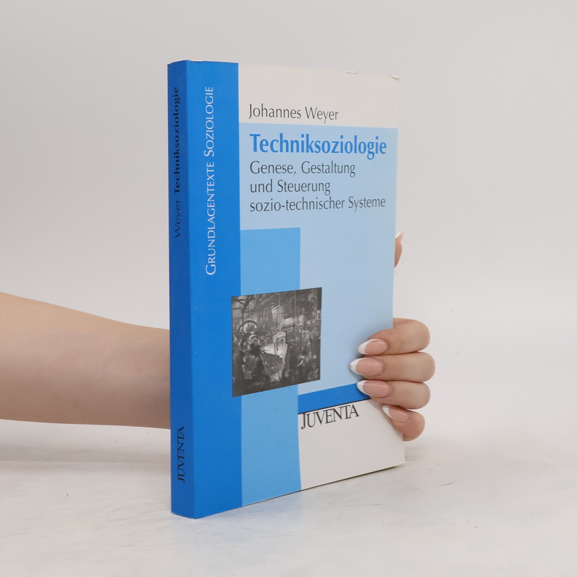 Johannes Weyer Techniksoziologie