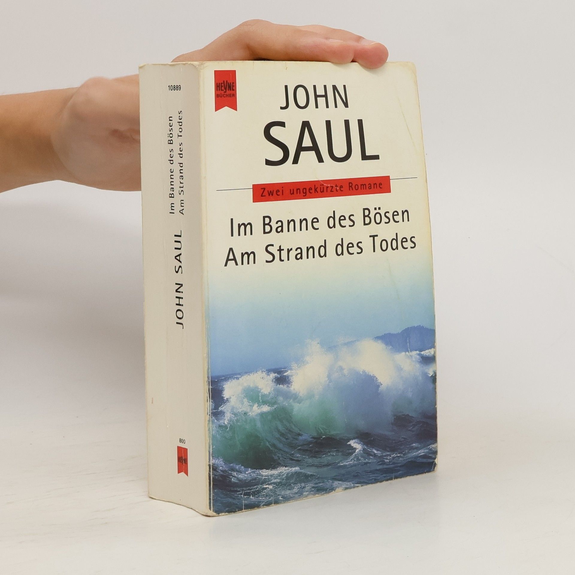 John Saul Im Banne des Bösen. Am Strand des Todes. 2 Romane in 1 Bd.