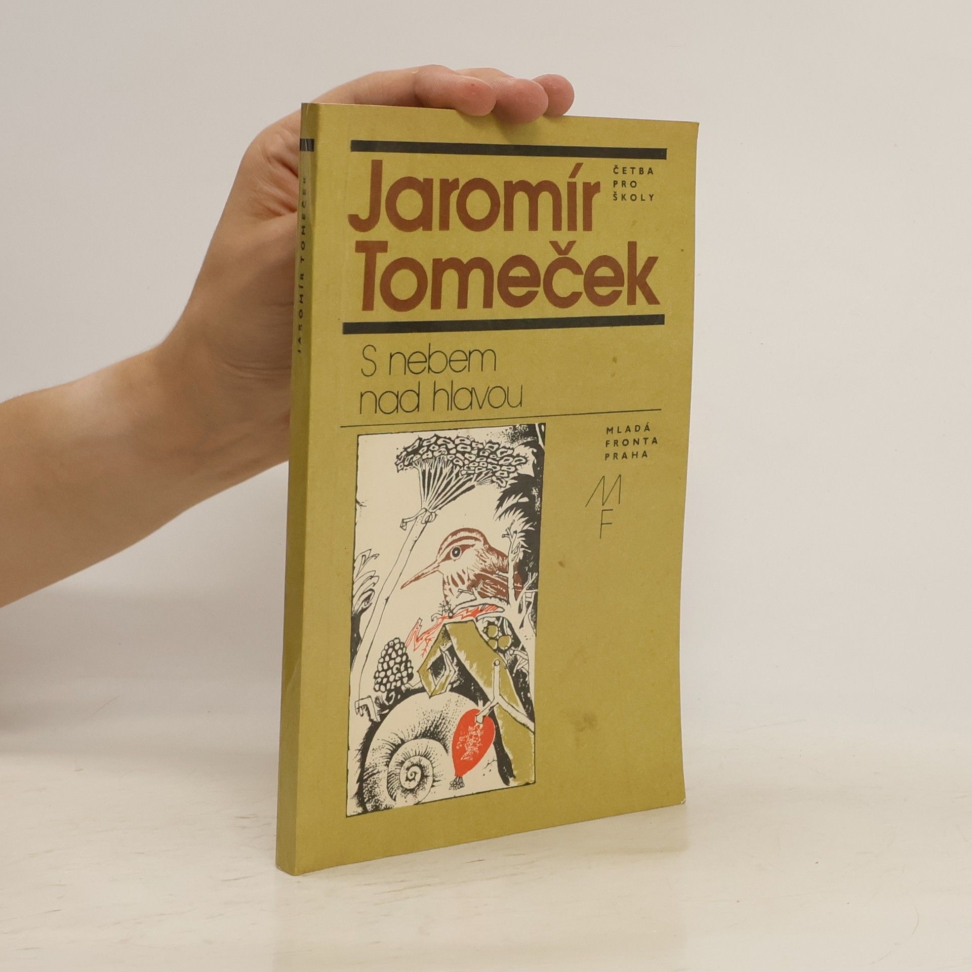 Jaromír Tomeček S nebem nad hlavou