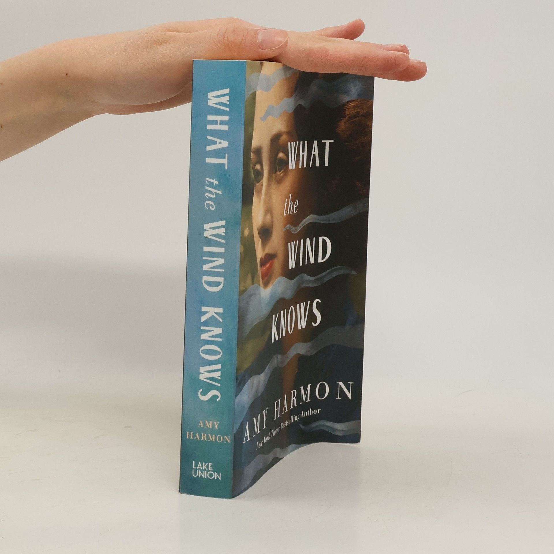 Amy Harmon What the Wind Knows