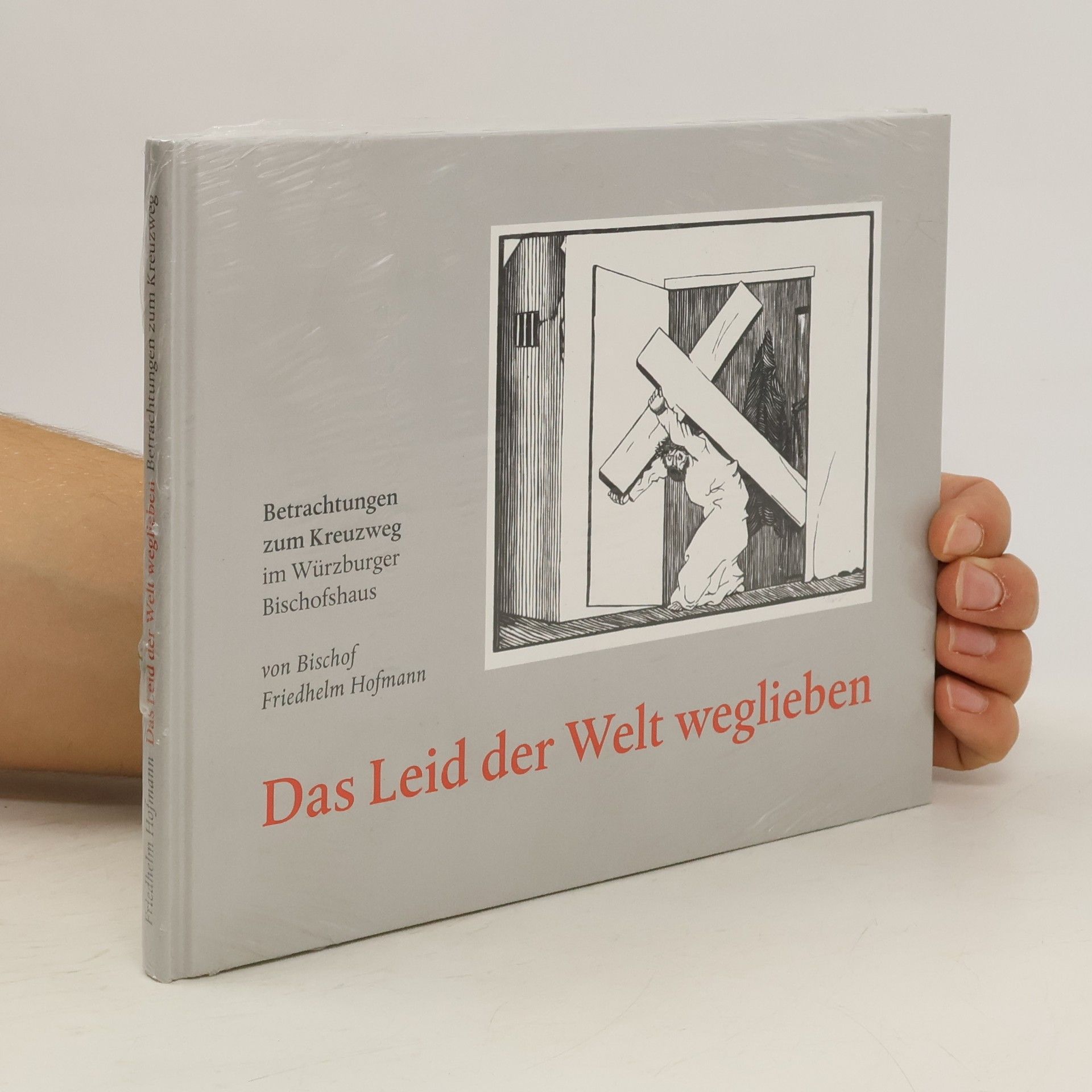 Friedhelm Hofmann Das Leid der Welt weglieben