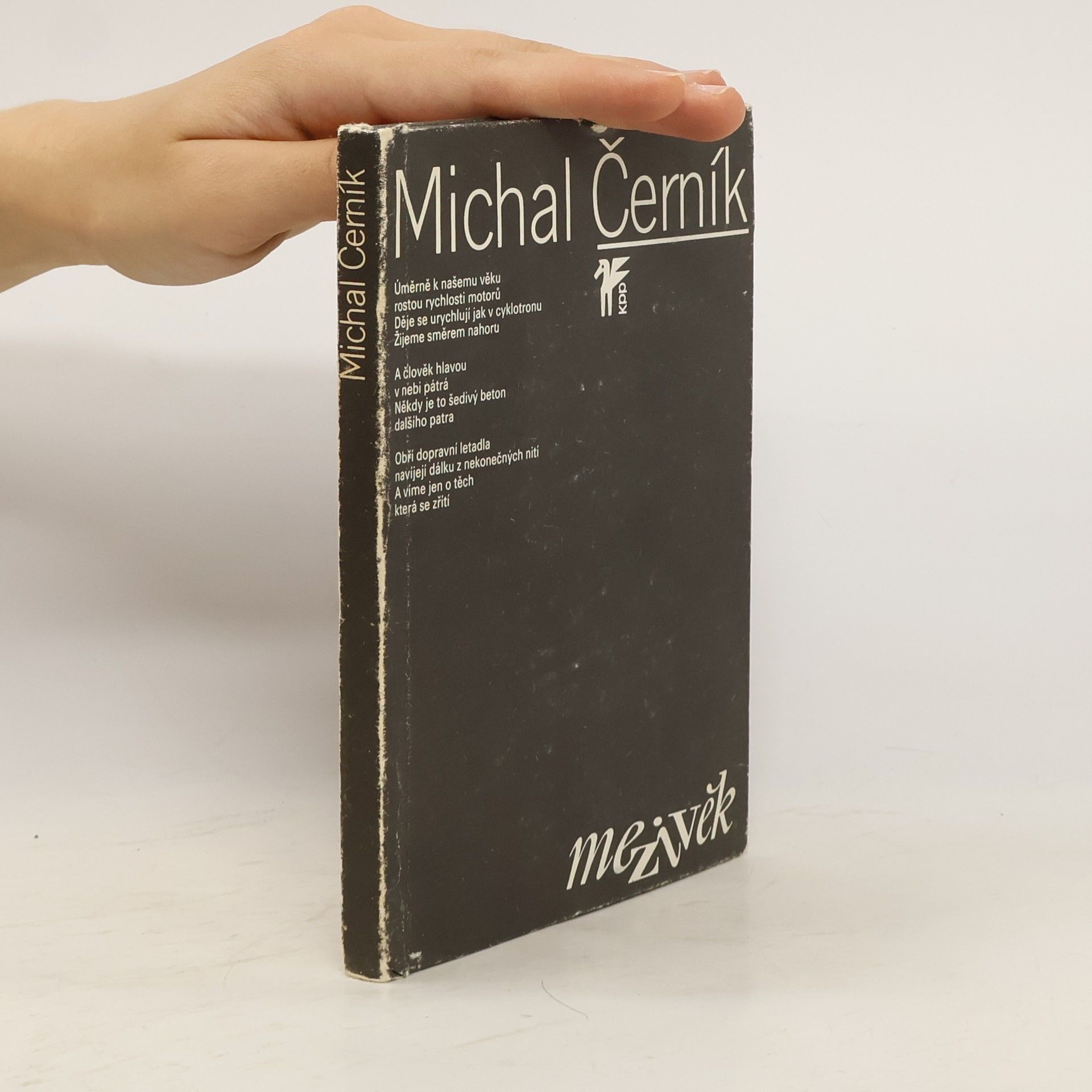 Michal Černík Mezivěk