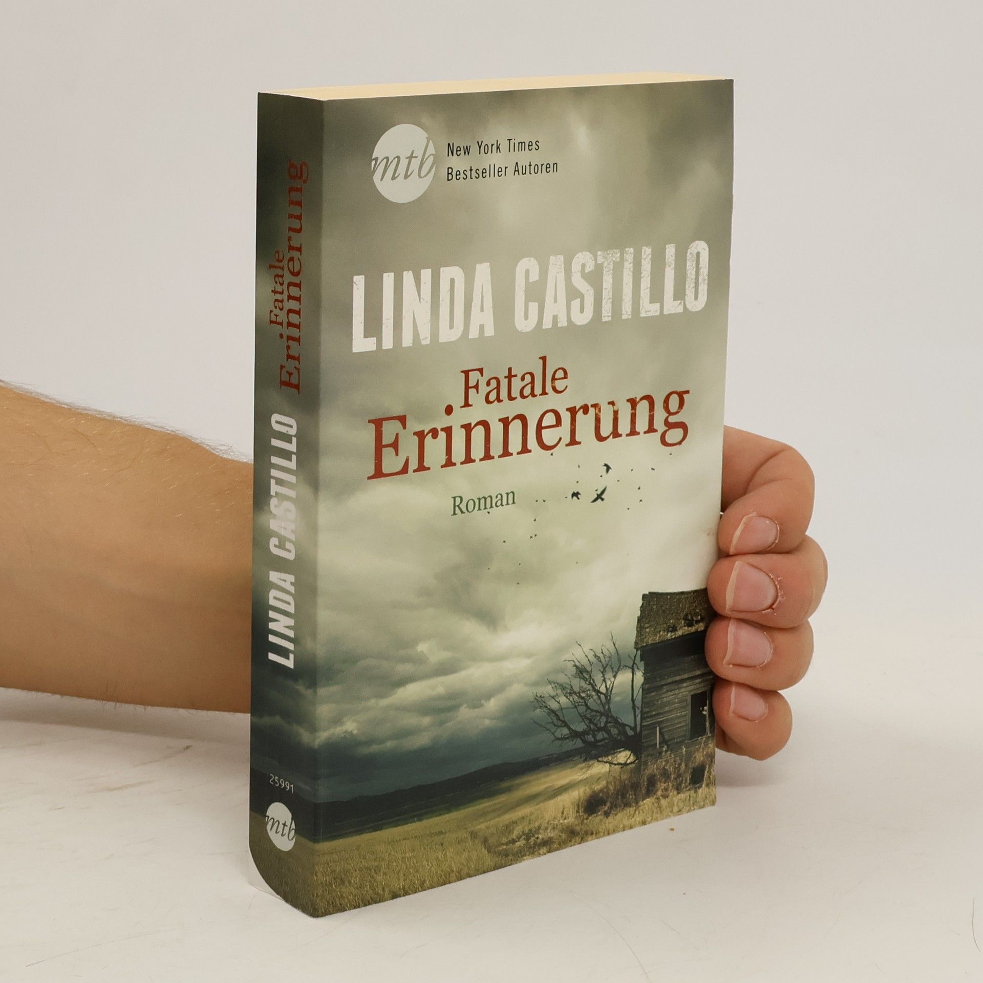 Linda Castillo Fatale Erinnerung