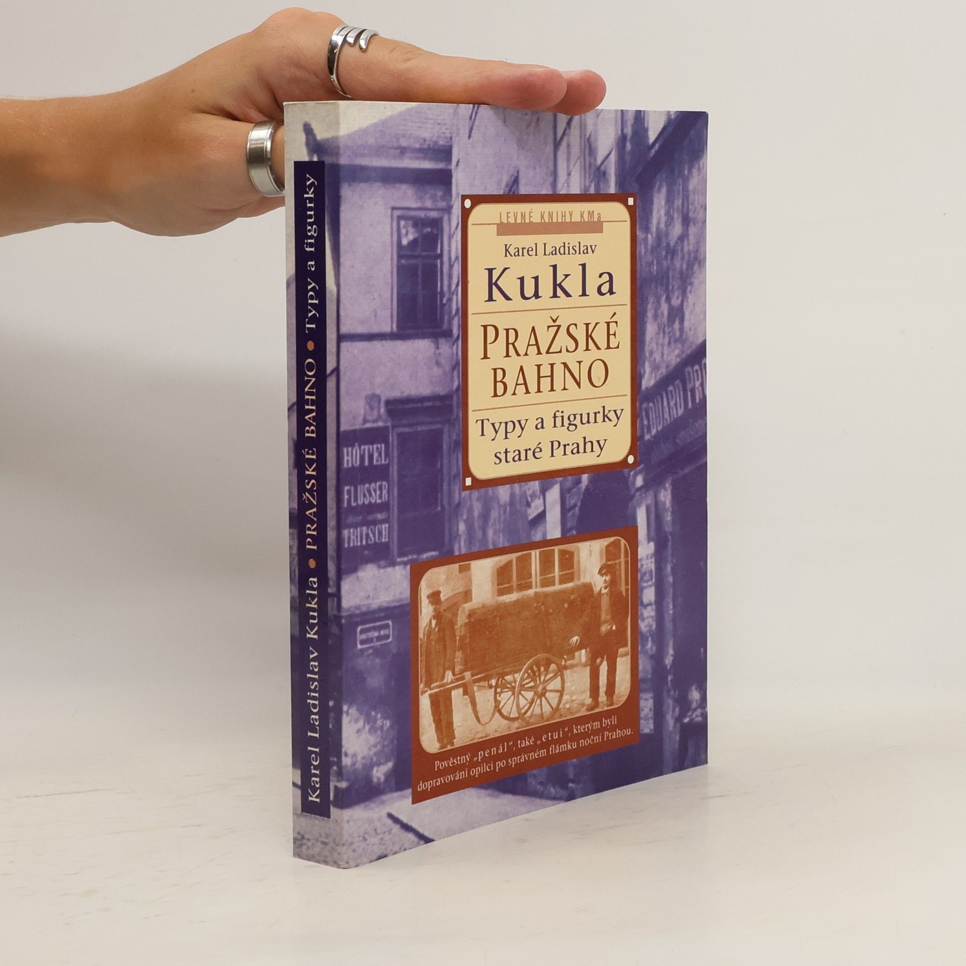 Karel Ladislav Kukla Pražské bahno. 2. díl, Typy a figurky