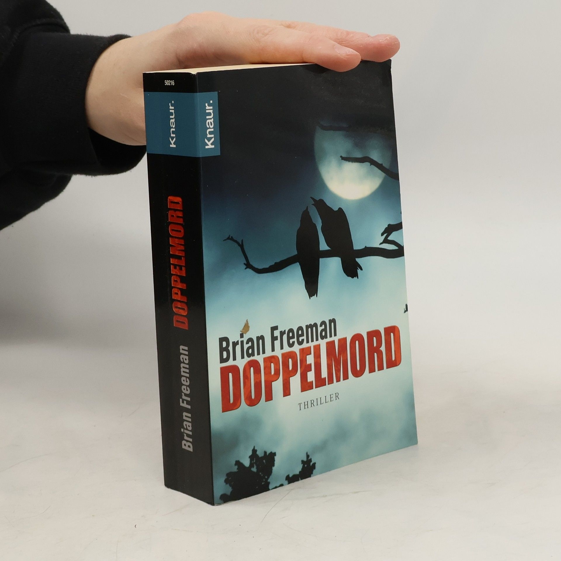 Brian Freeman Doppelmord. Thriller