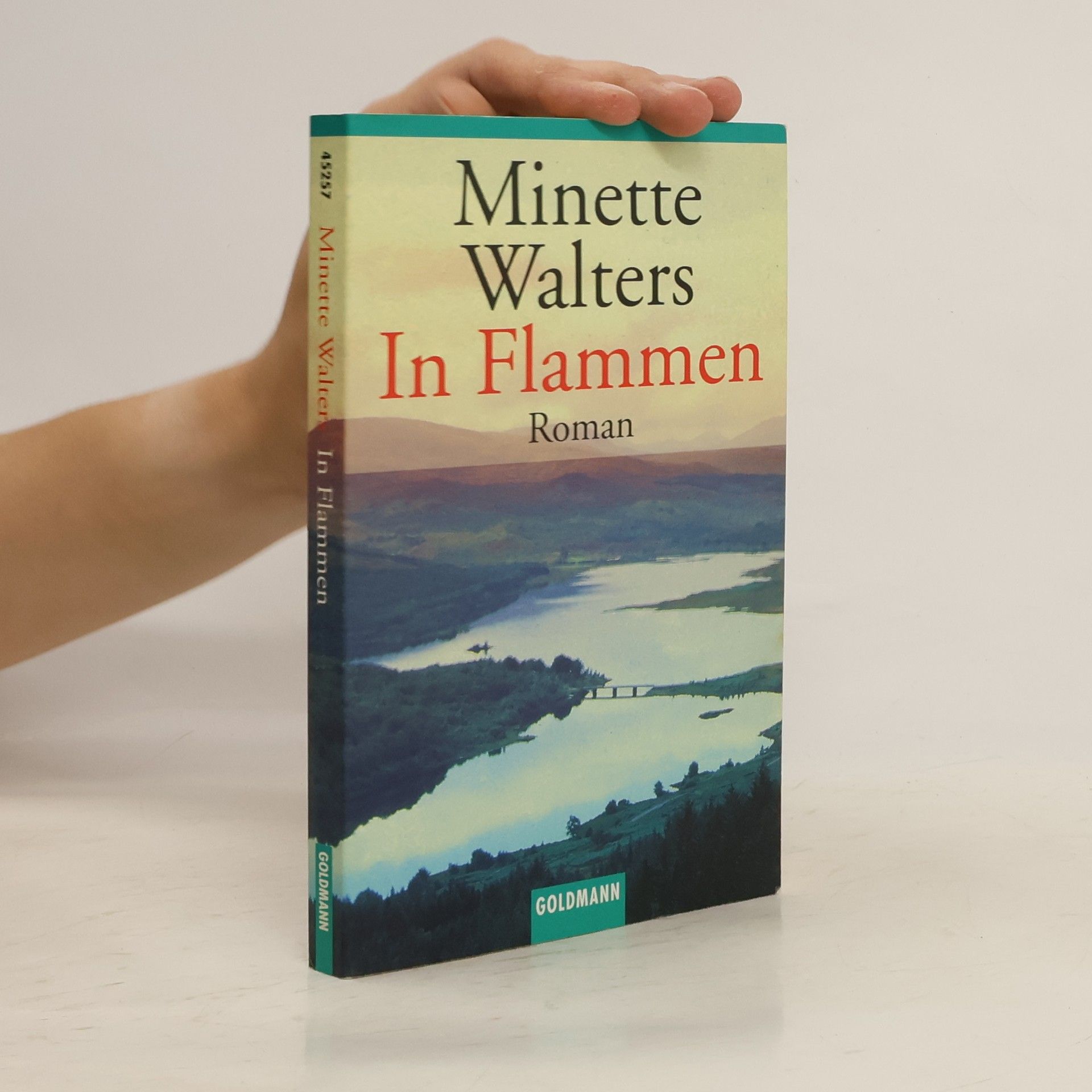 Minette Walter In Flammen