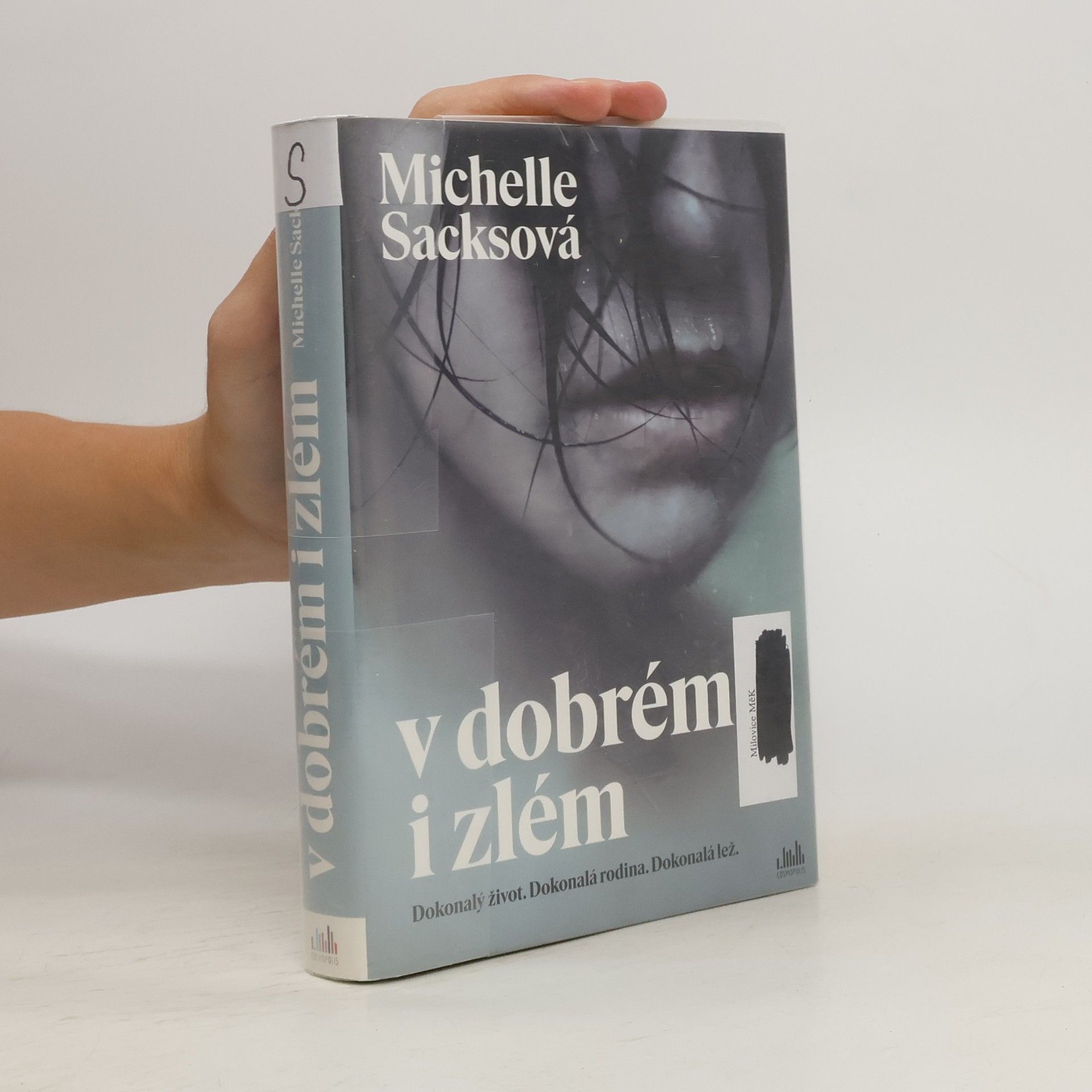 Michelle Sacks V dobrém i zlém