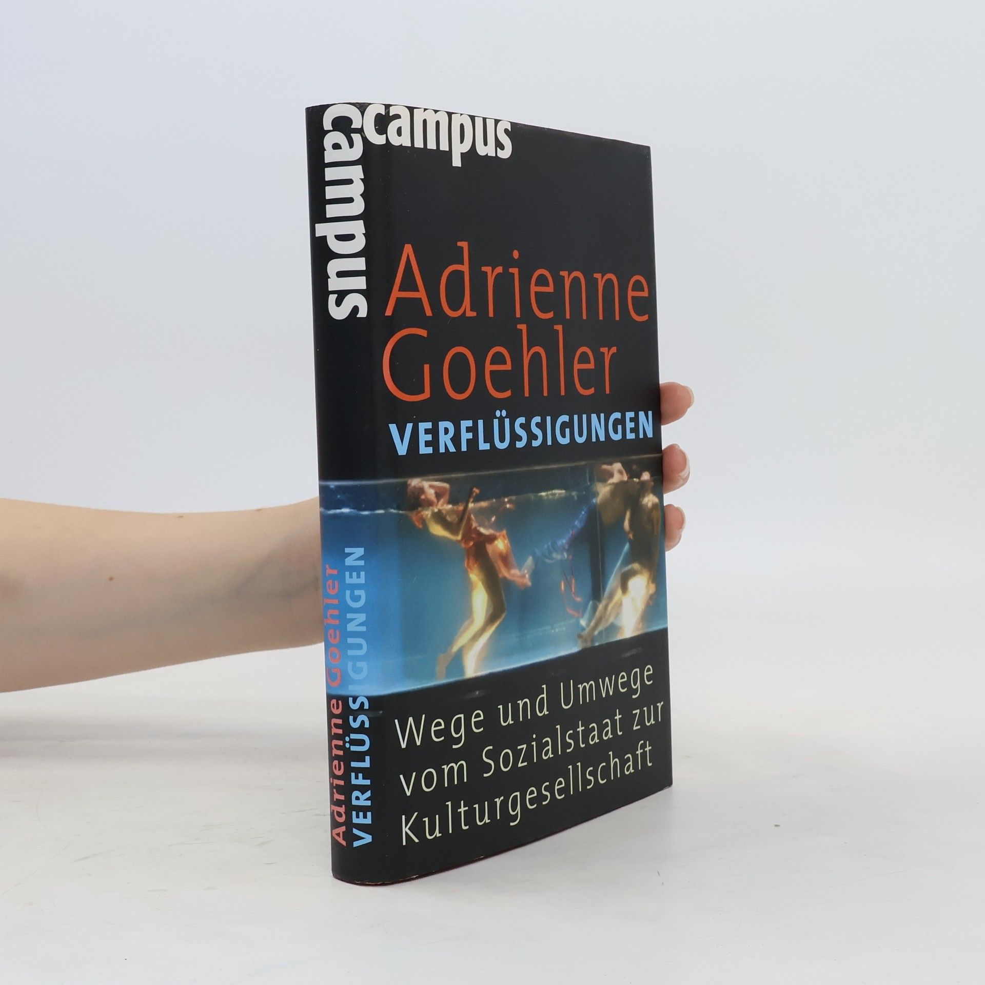 Adrienne Goehler Verflüssigungen