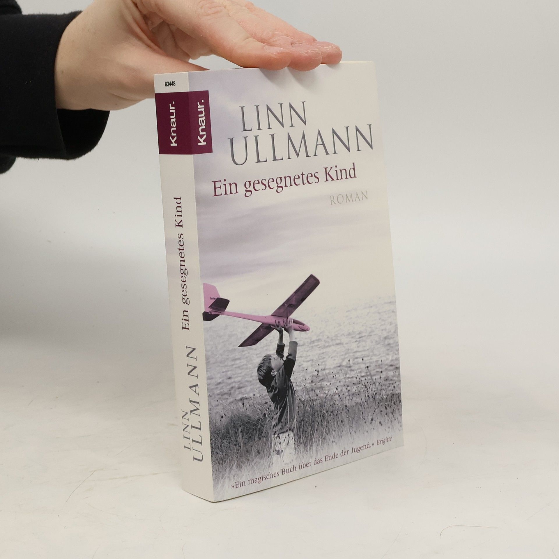 Linn Ullmann Ein gesegnetes Kind