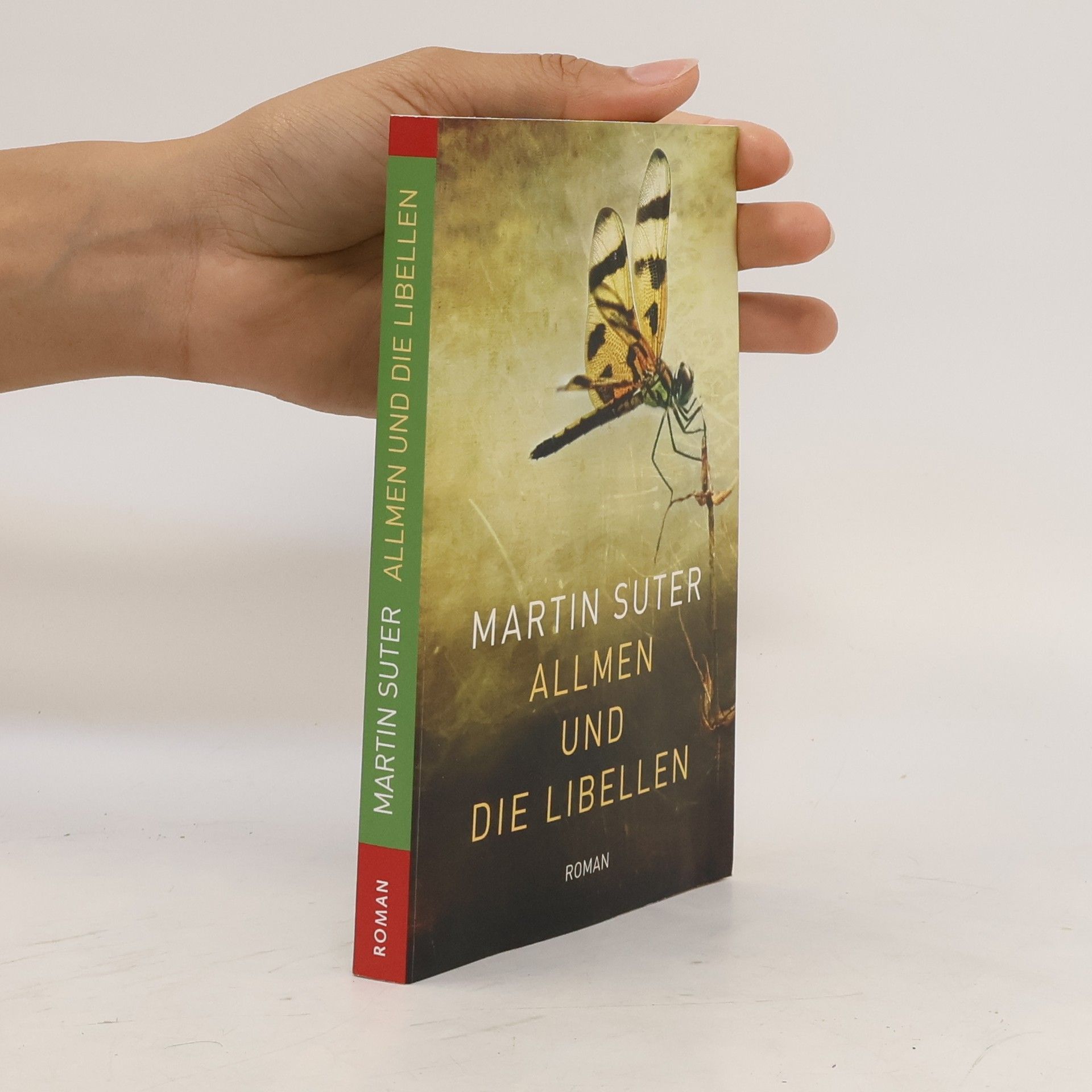 Martin Suter Allmen und die Libellen
