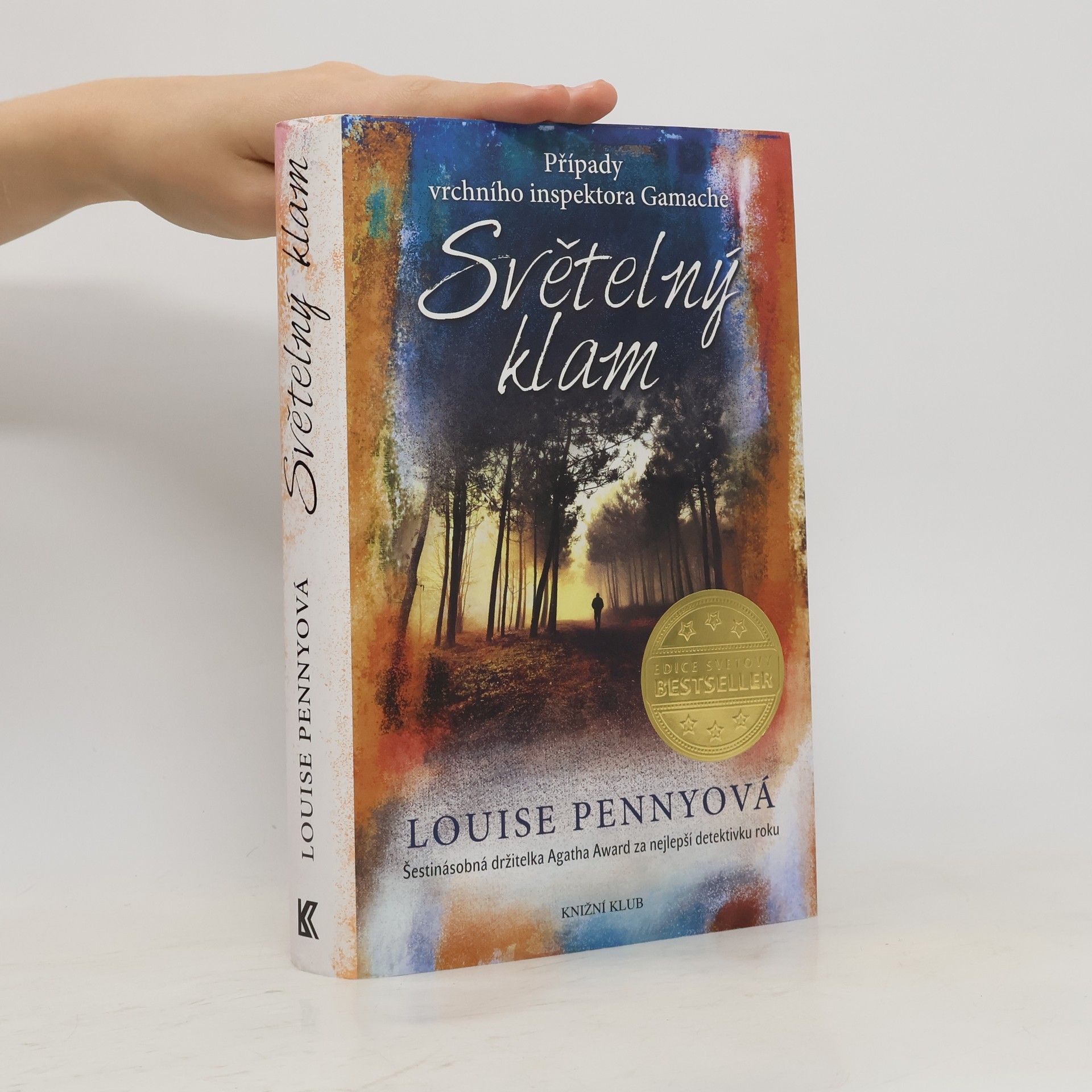Louise Penny Světelný klam