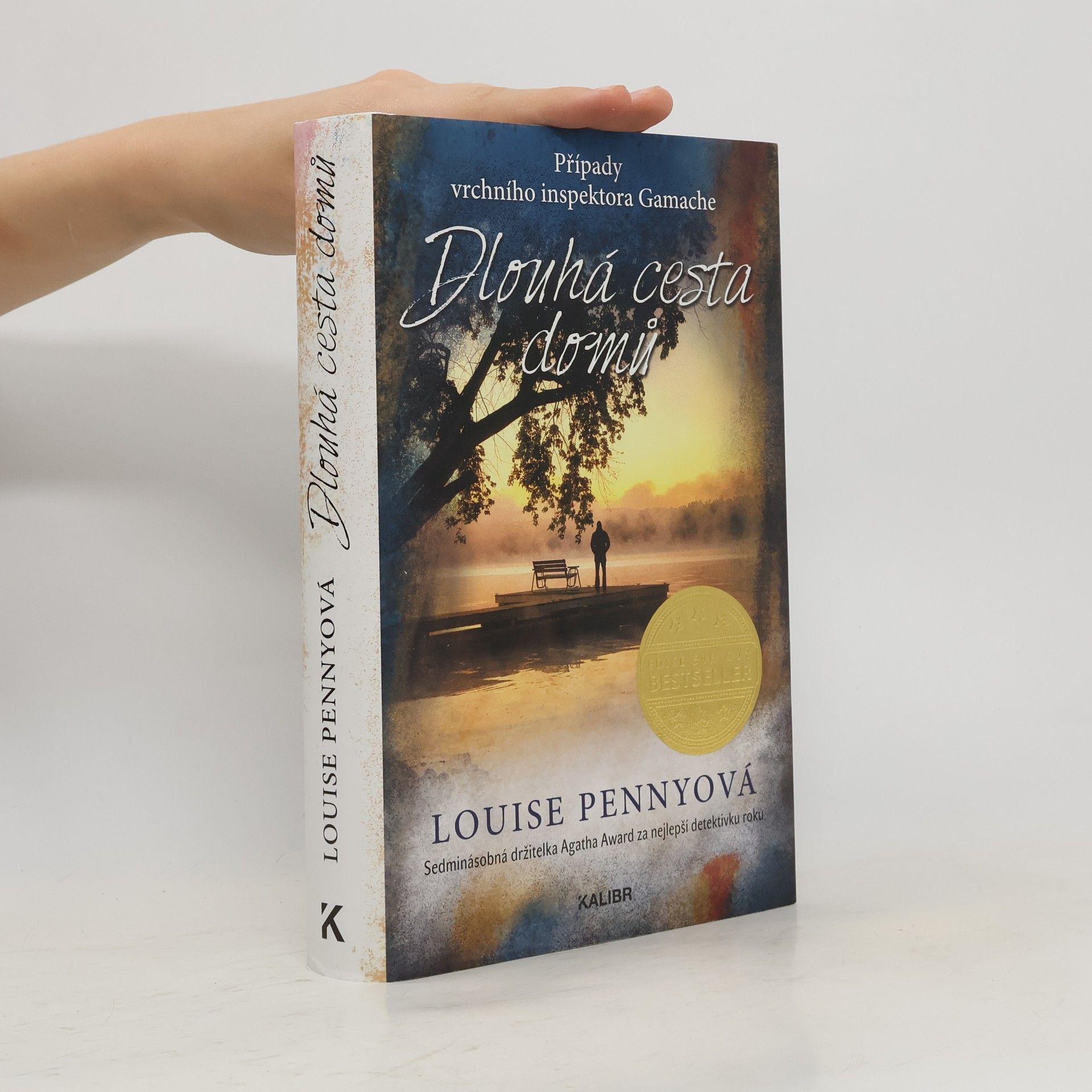 Louise Penny Dlouhá cesta domů