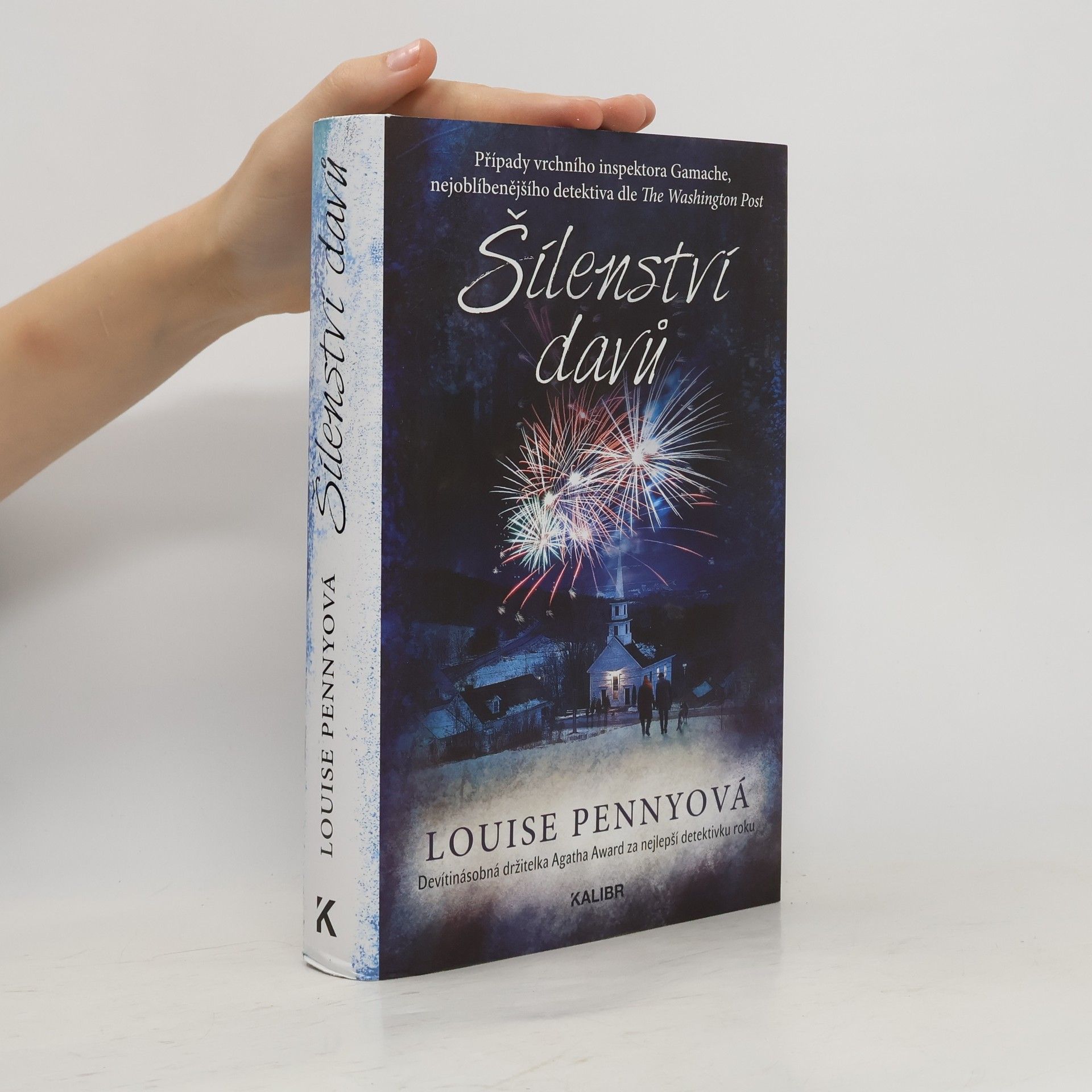 Louise Penny Šílenství davů