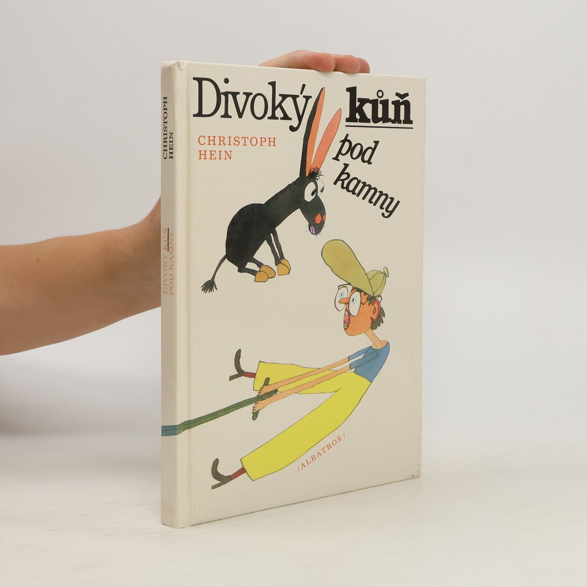 Christoph Hein Divoký kůň pod kamny