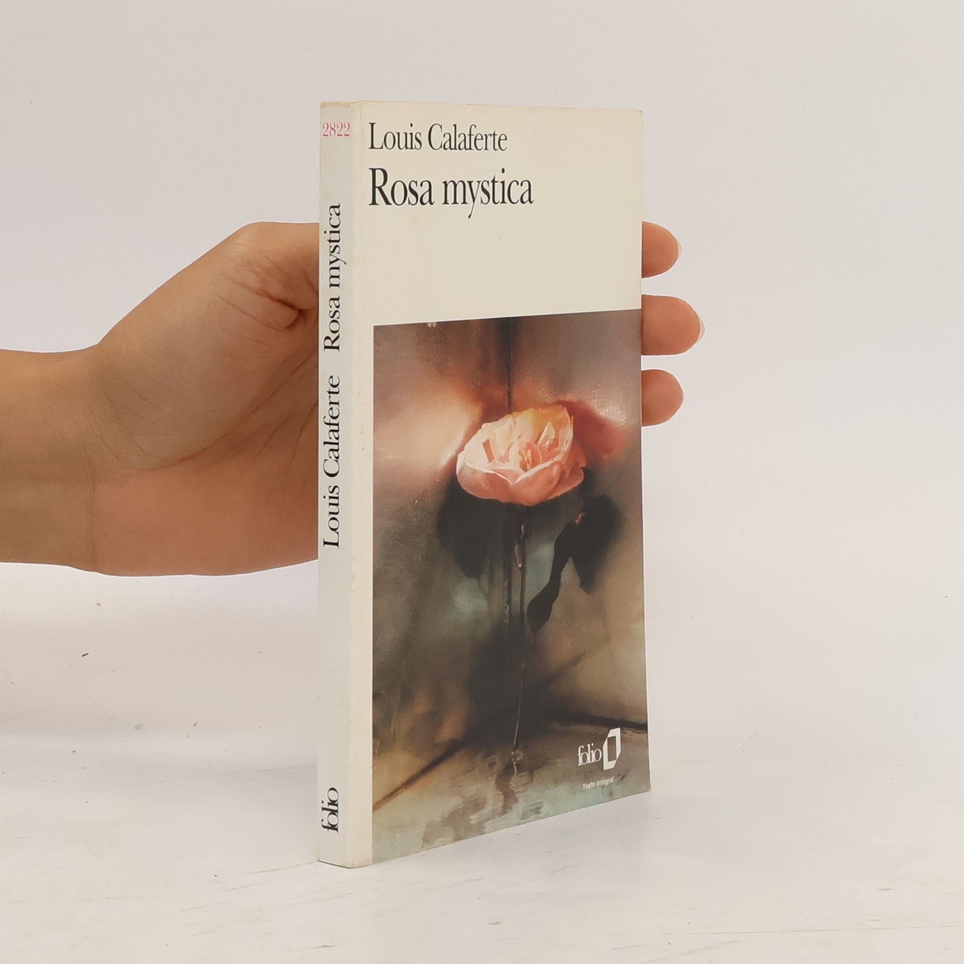 Louis Calaferte Rosa mystica