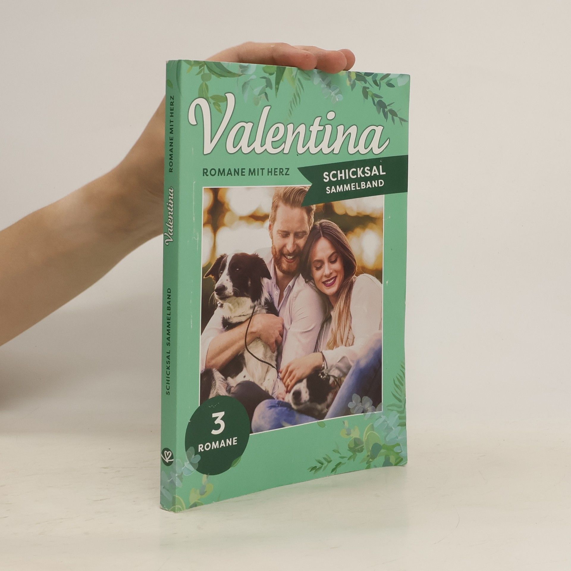 Autorenkollektiv Valentina Schicksal Sammelband